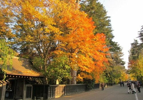 Гостиница Tazawako Lake Resort & Onsen