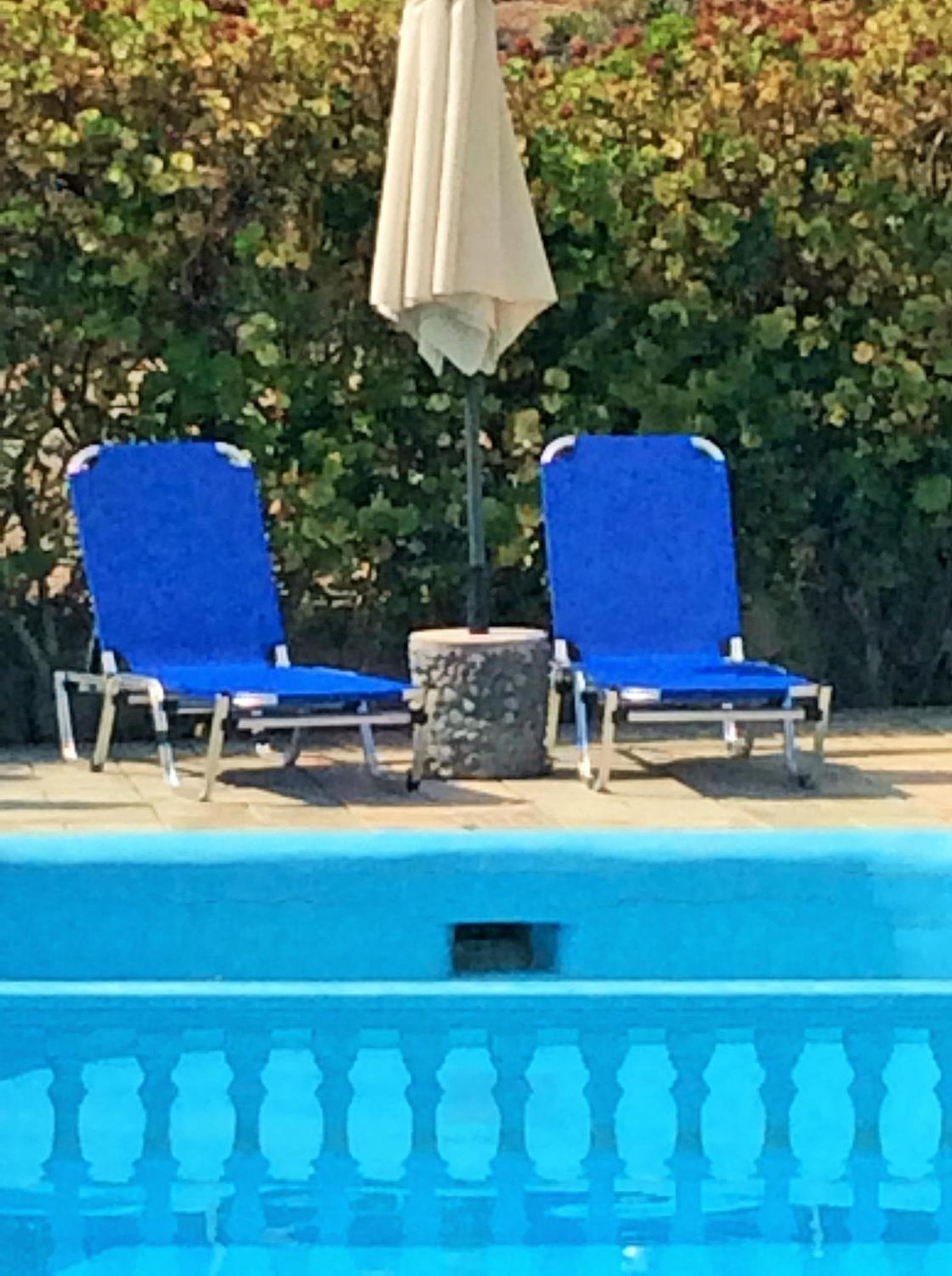 Фото Villa Sofia