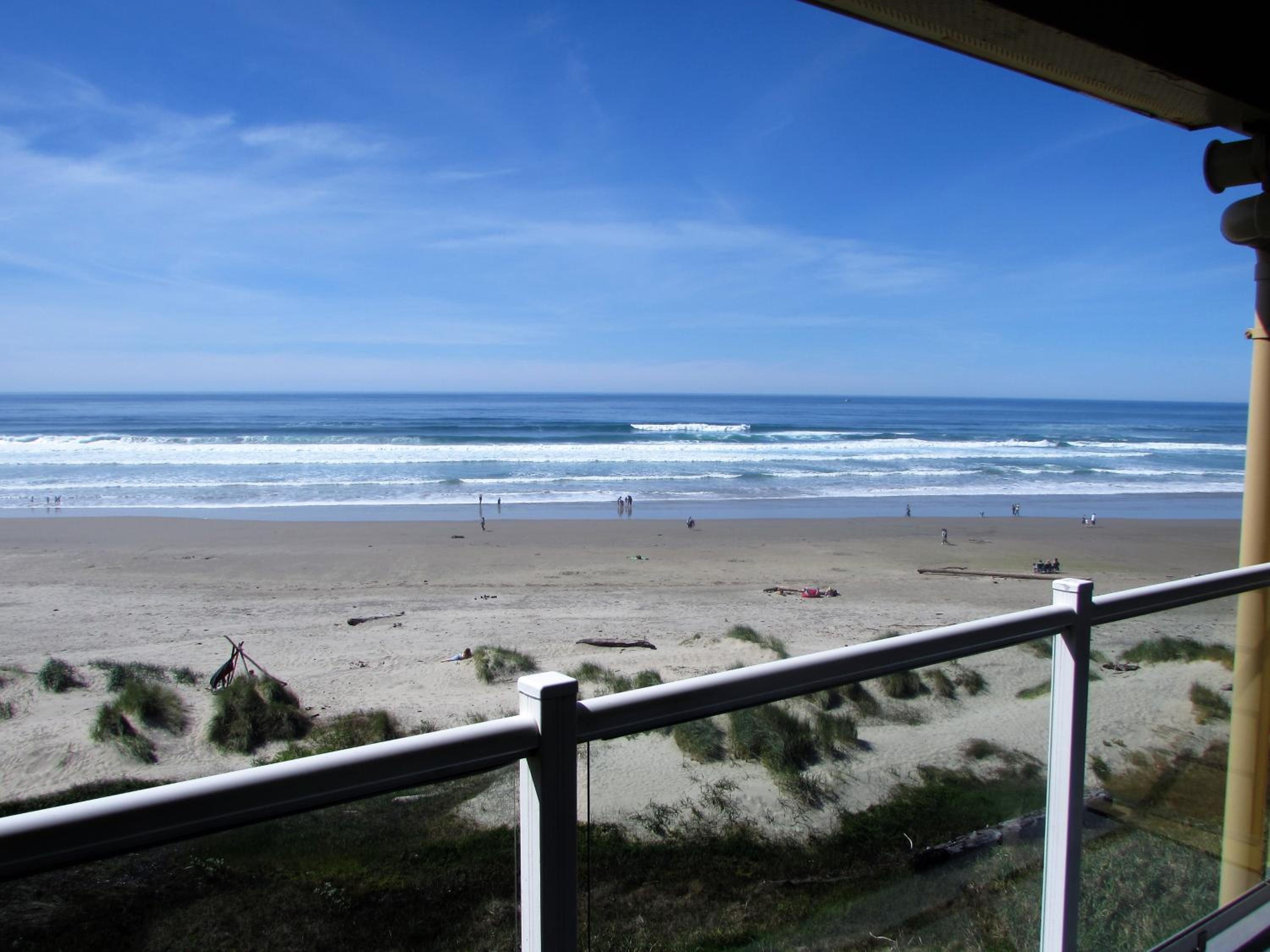 Фото Driftwood Shores Resort And Conference Center