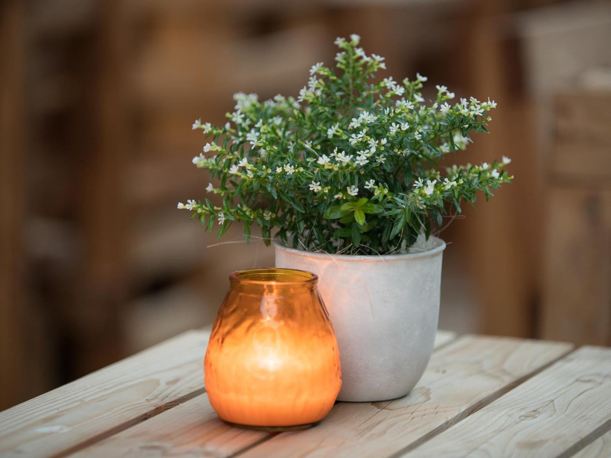 Фото Acom-Hotel Vienna