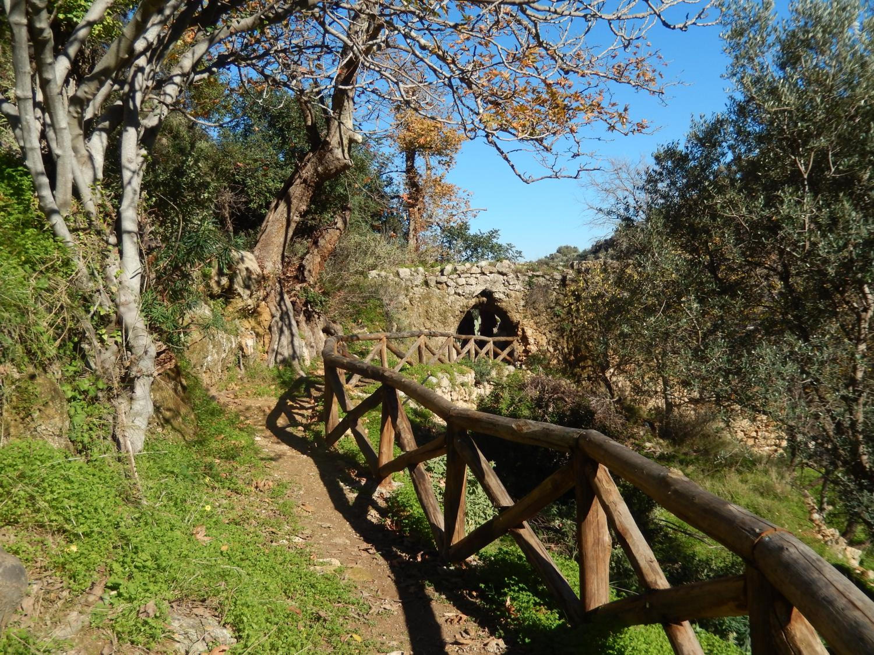 Фото Aloe Apartments & Studios