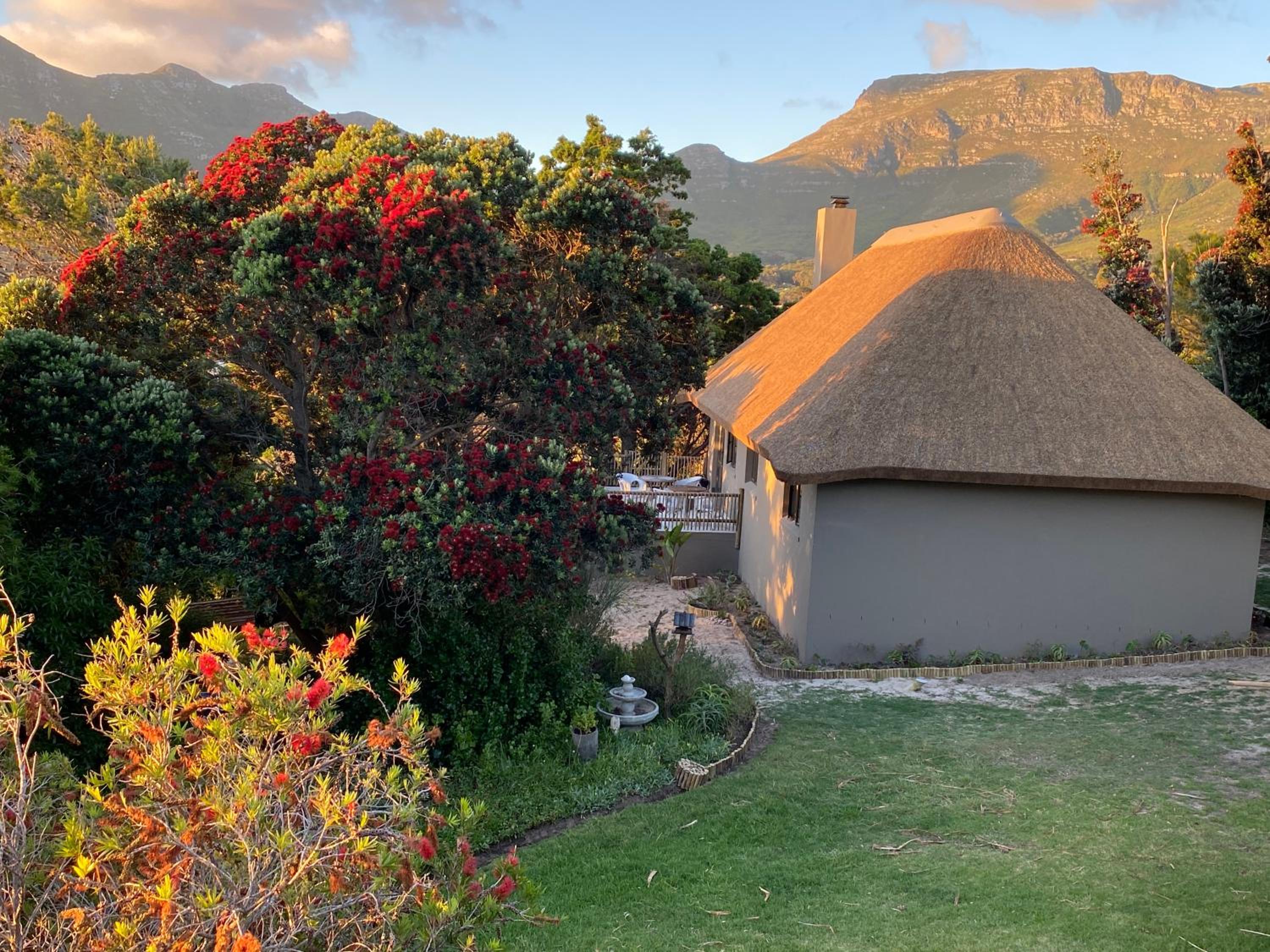 Фото Wild Rose Country Lodge