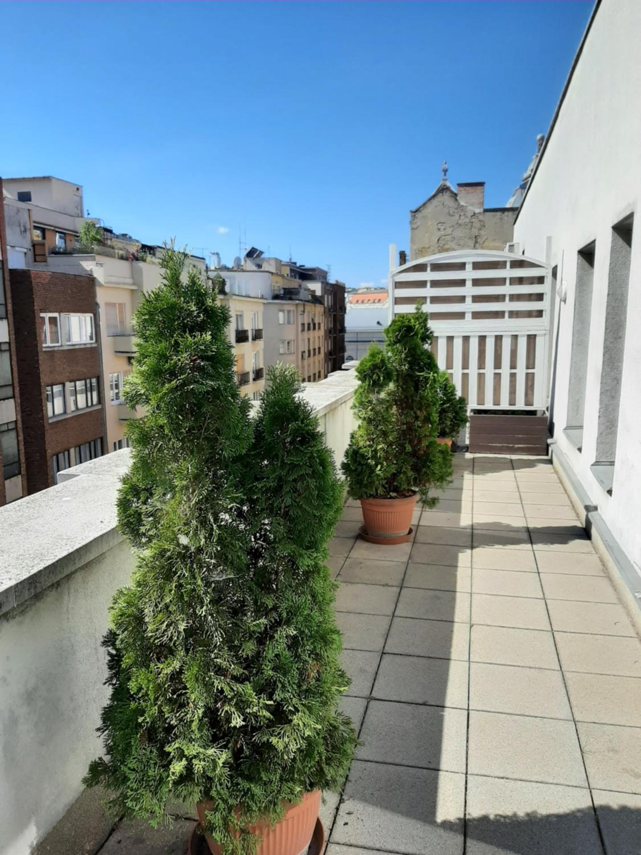 Фото Trendy Deluxe Apartments