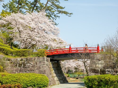 Гостиница Odawara Terminal Hotel в Одаваре