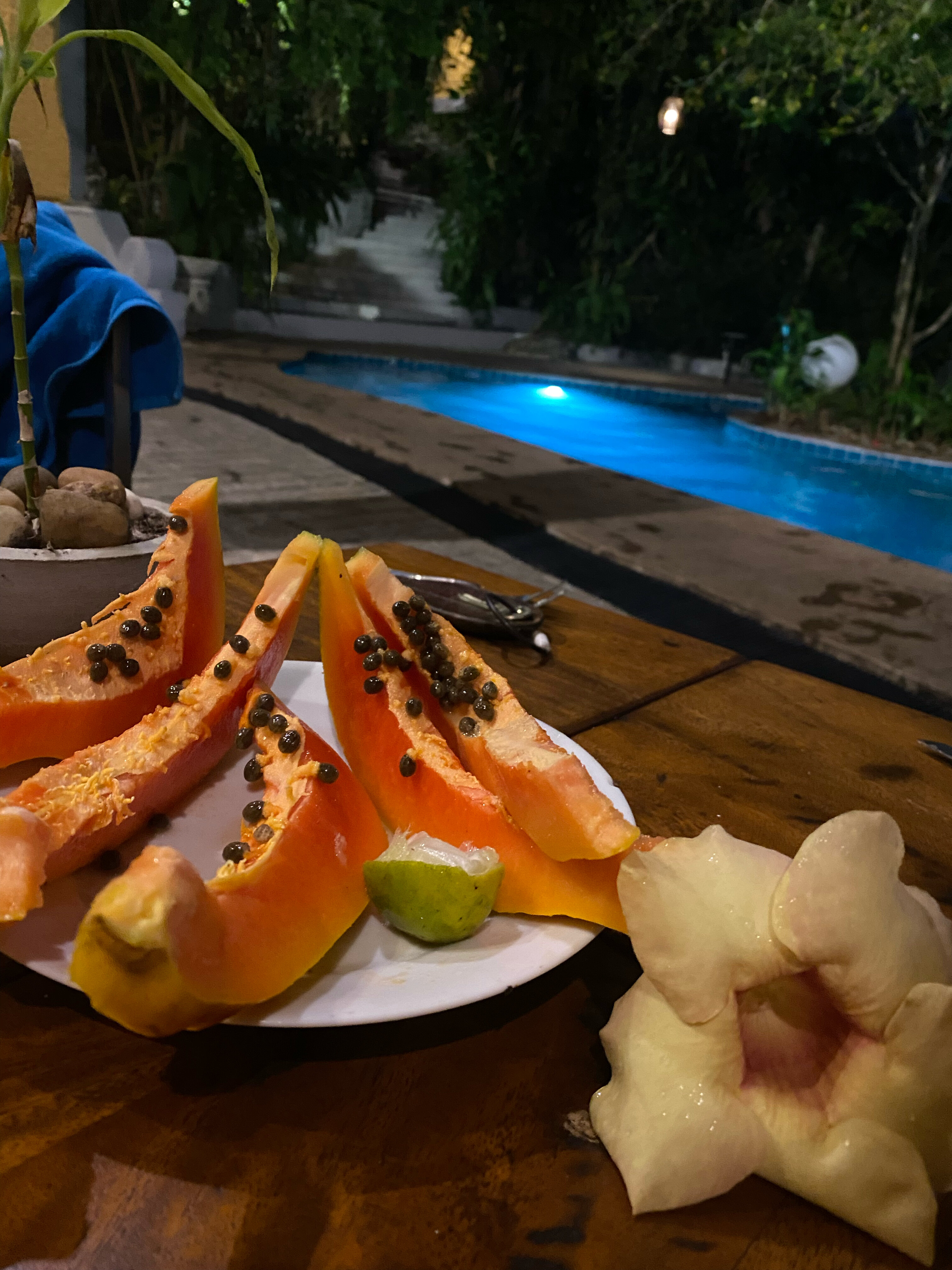 Фото Thambapanni Retreat