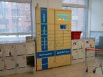 Ozon box (Krasnoarmeyskaya Street, 5/39), parcel automat