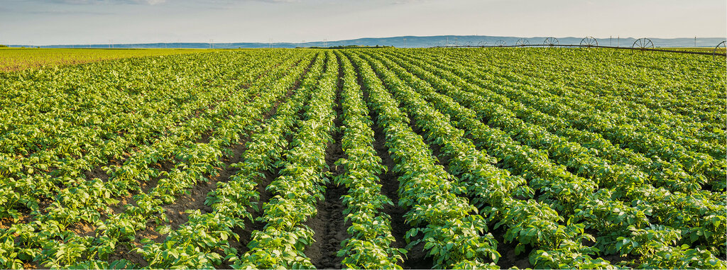 Fodder and feed additives Berkeren Tarim Gida Hayvancilik Taşimacilik Ve İnşaat Sanayi, Odemis, photo