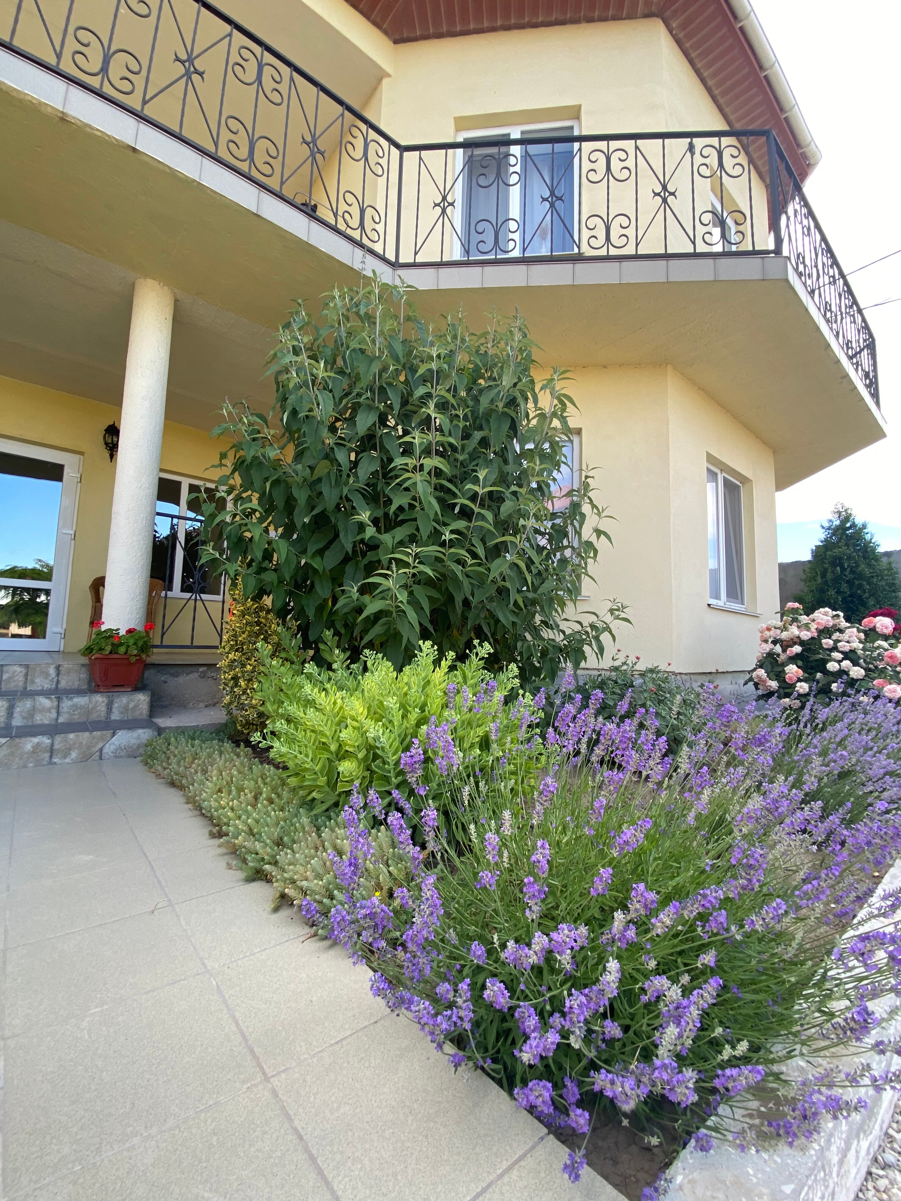 Фото Вилла Сиеста