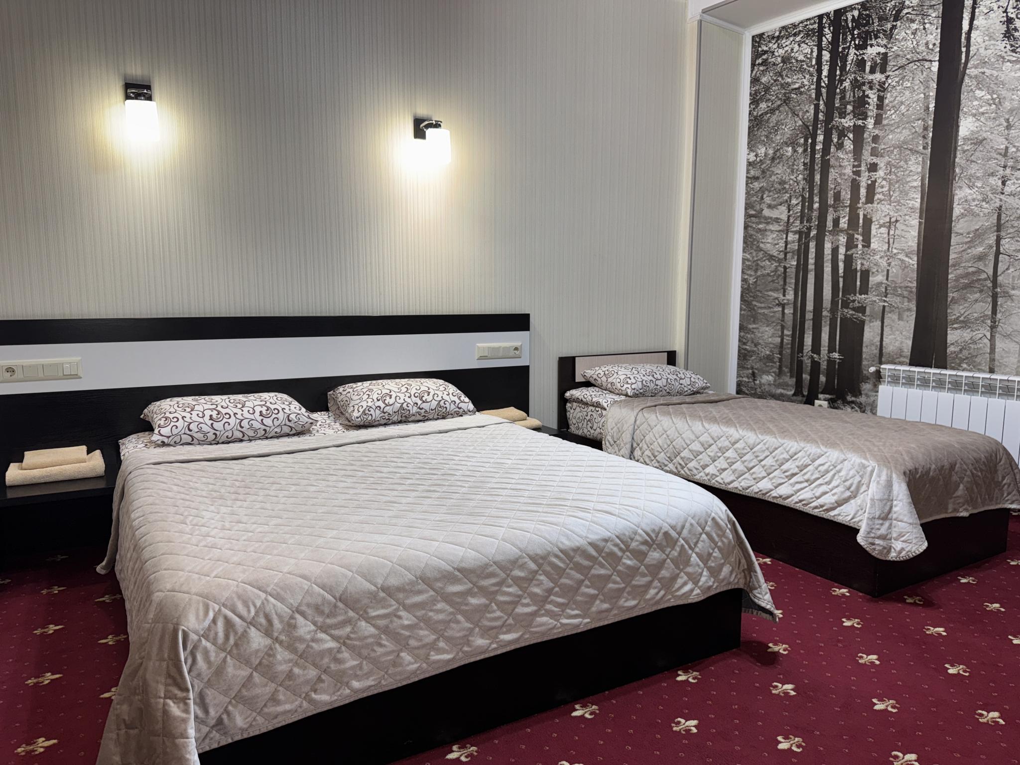 Фото Звезда