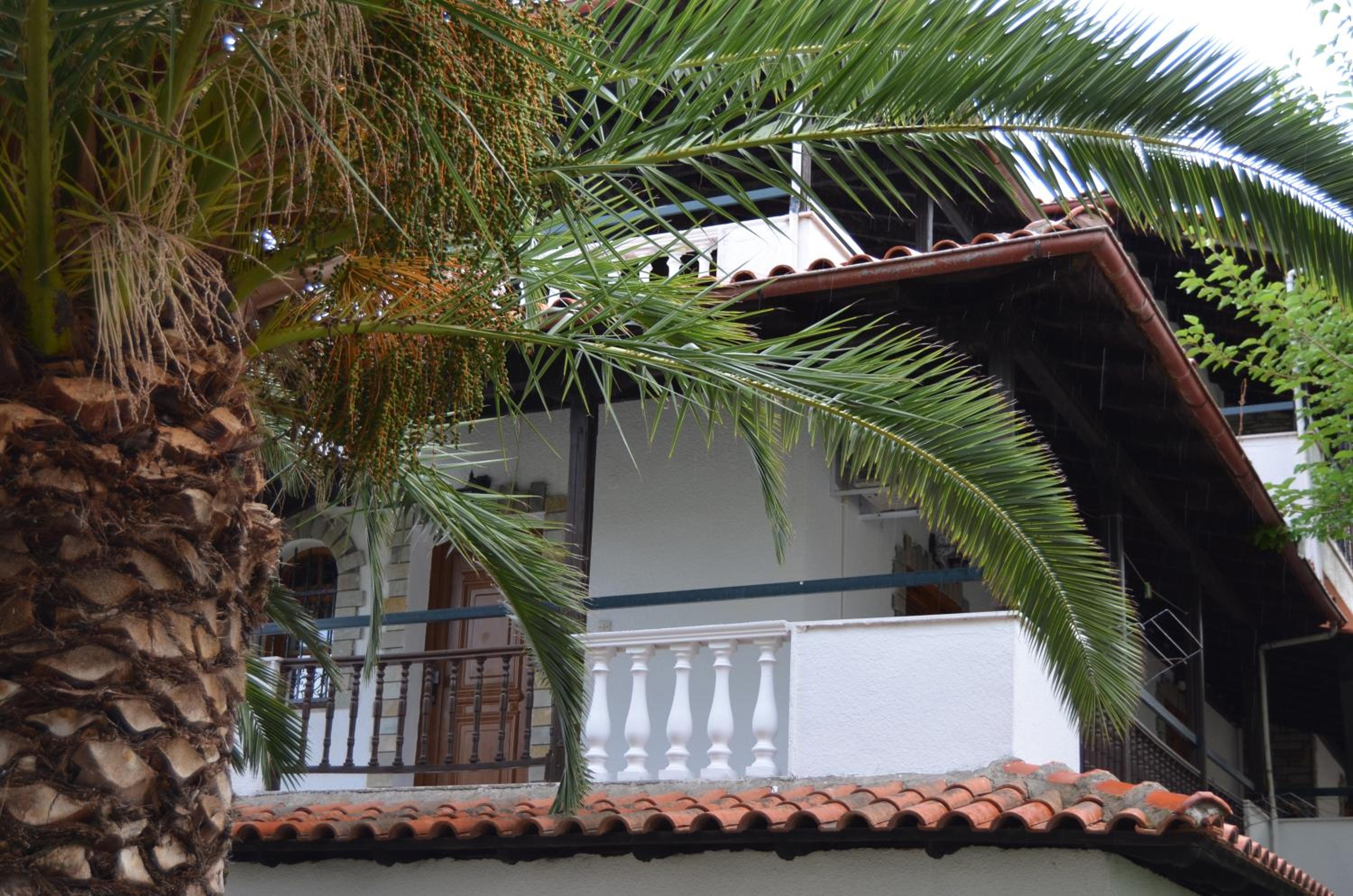 Фото Hotel Rigakis