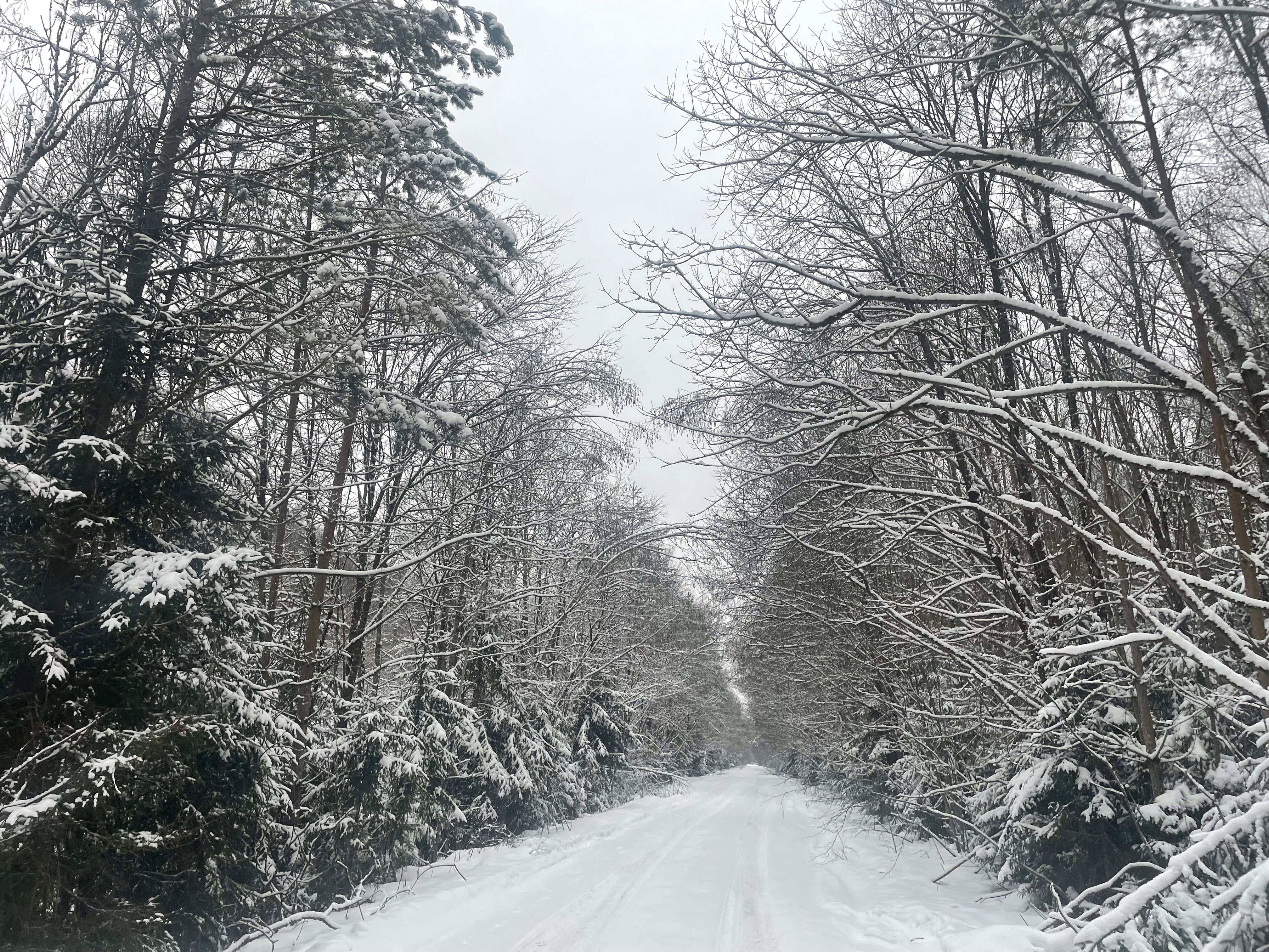 Фото База отдыха Ордино