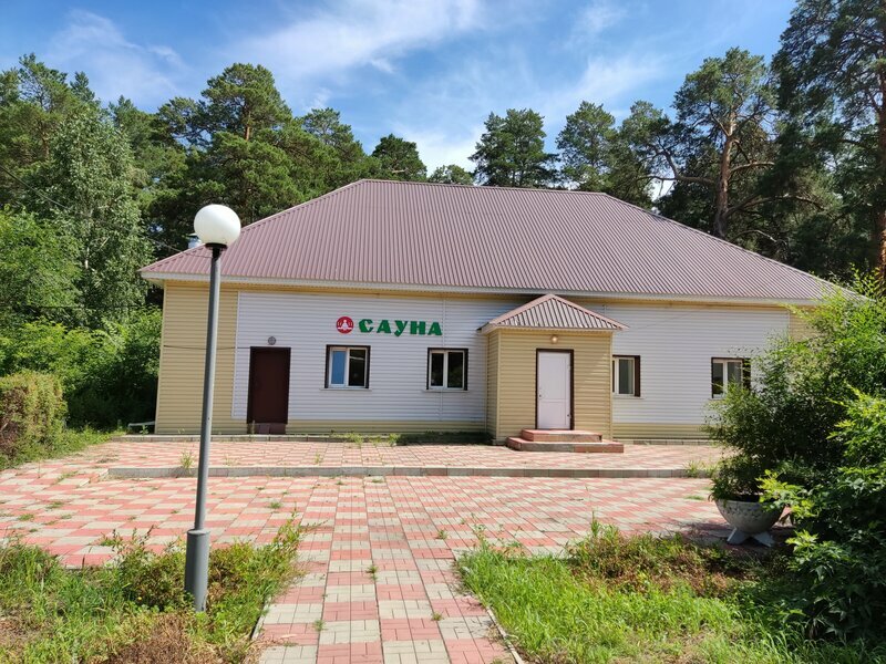 Фото Сосновая роща