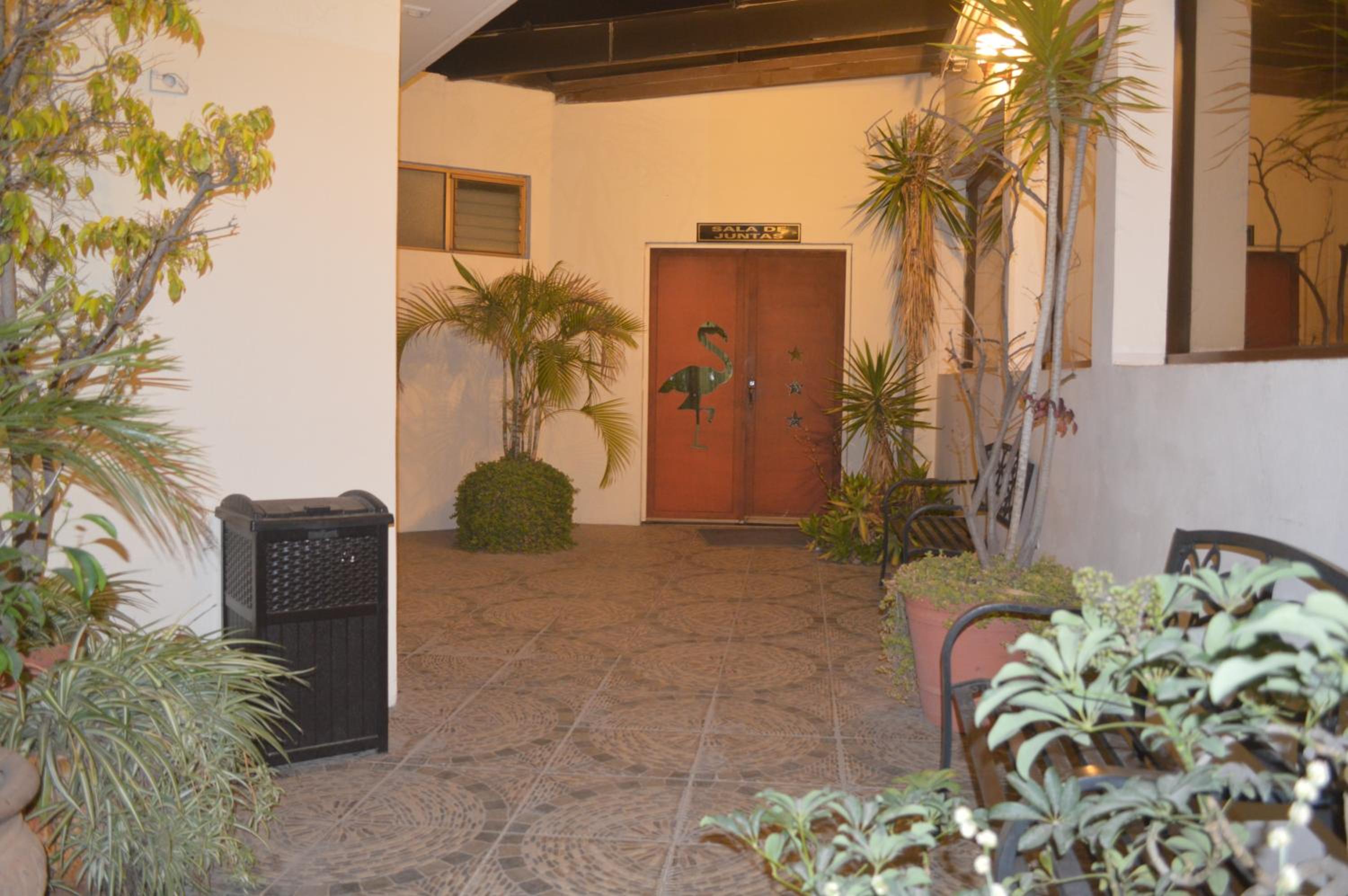 Фото Hotel Flamingo Kristal