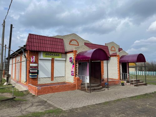 Grocery Авокадо, Penza Oblast, photo