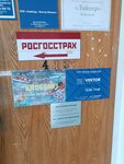 Вектор экспедирование (Abrekskaya Street, 5), freight forwarding