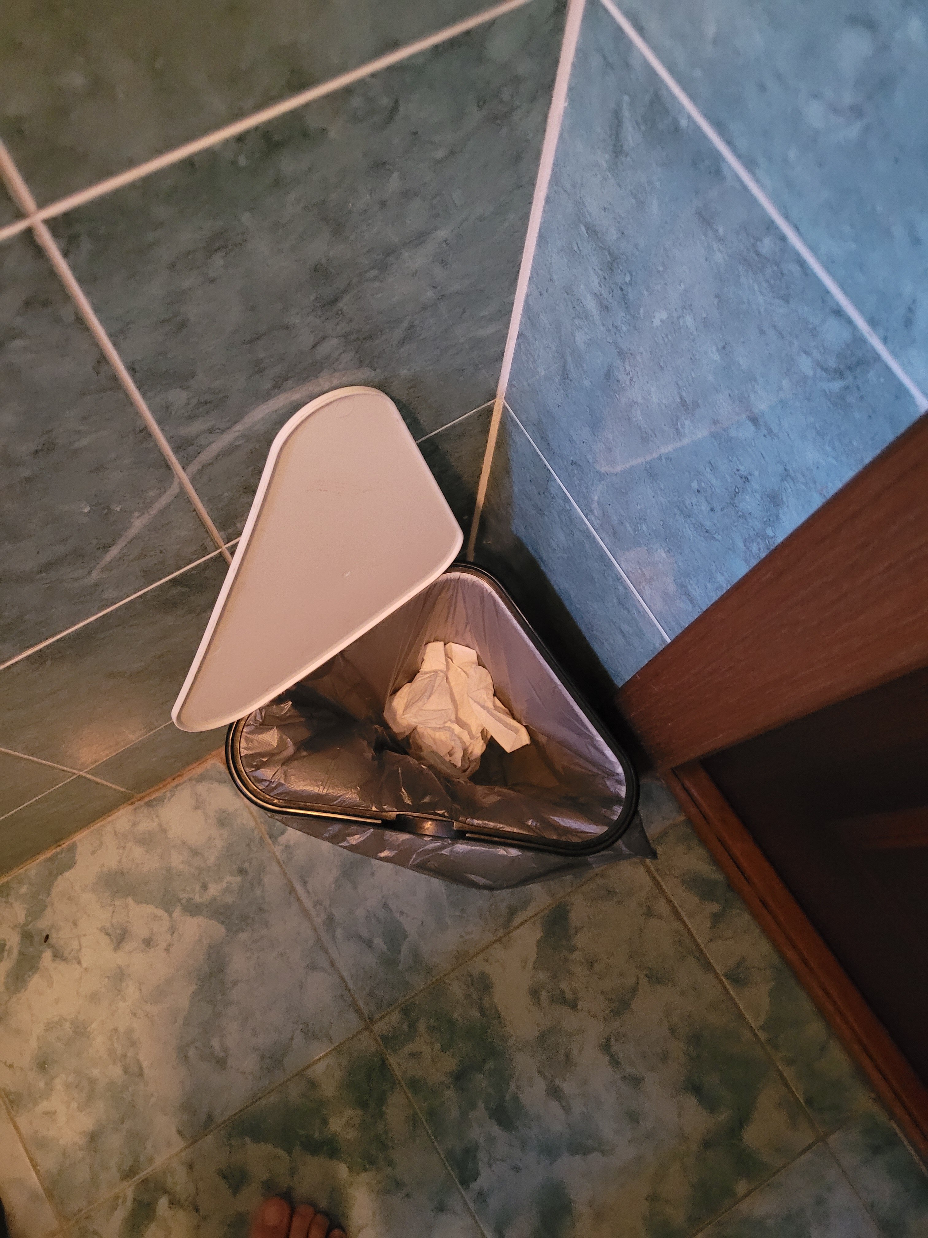 Фото Рыжий пёс