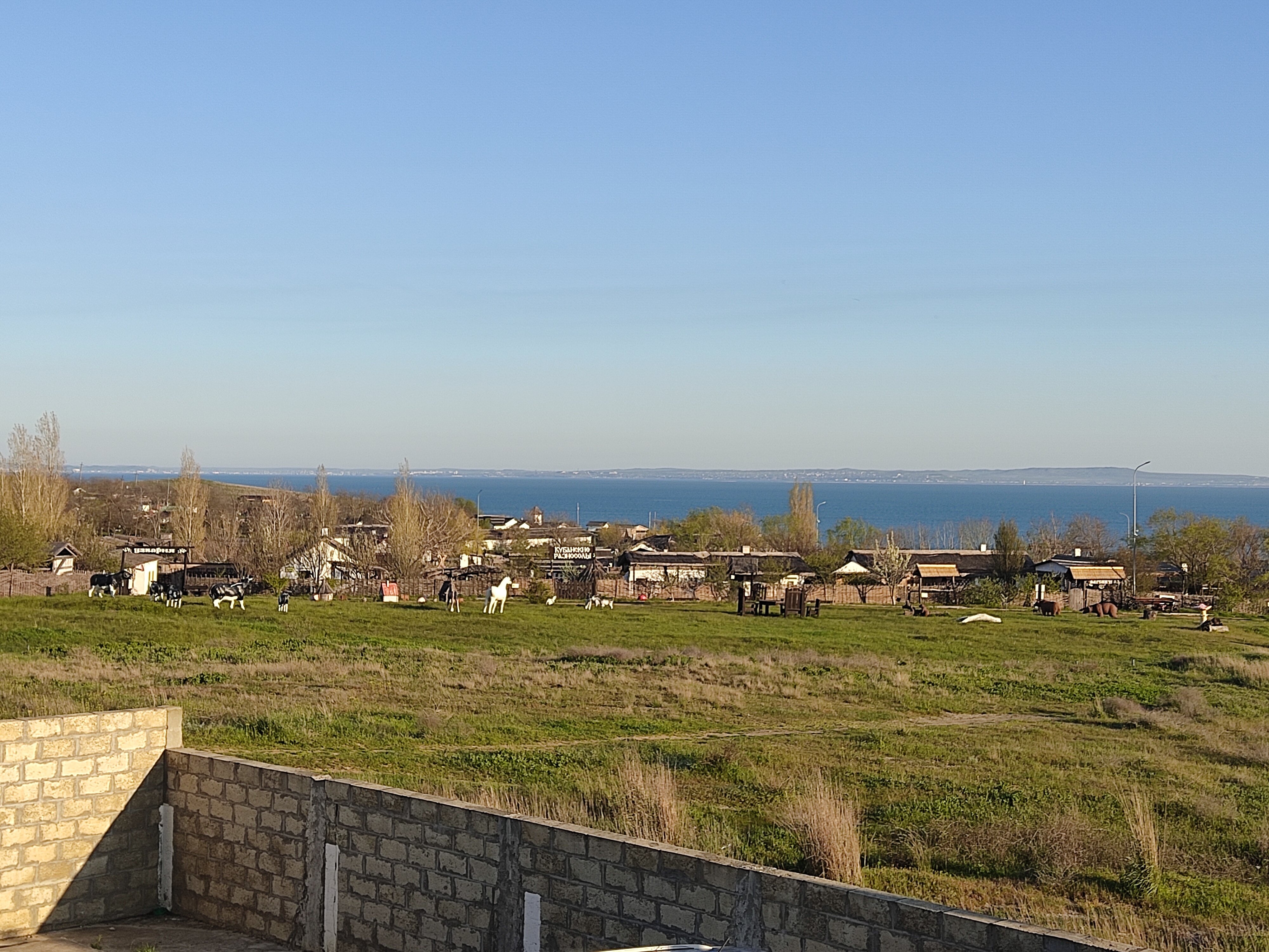 Фото Фортуна