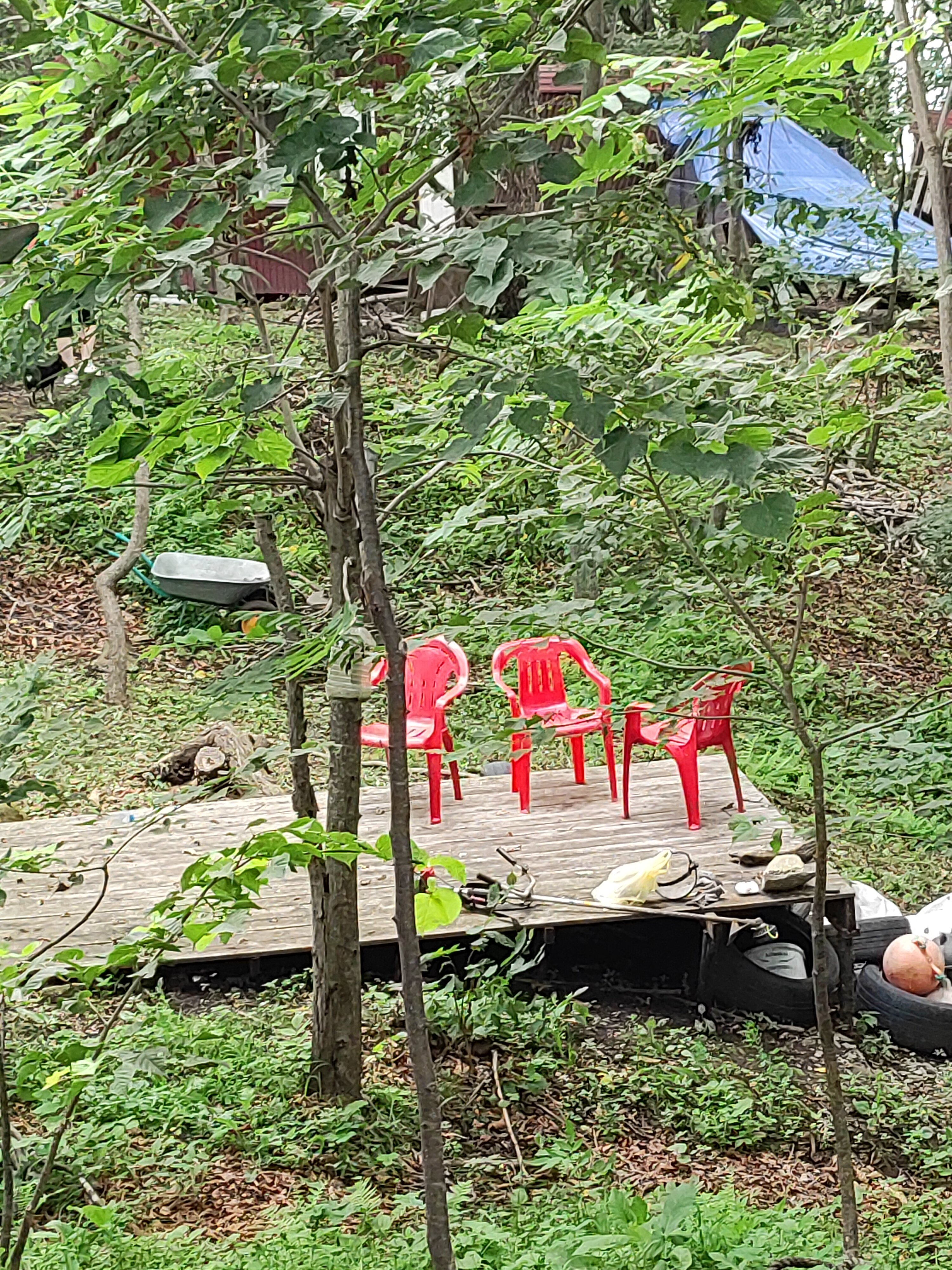 Фото Домик путешественника