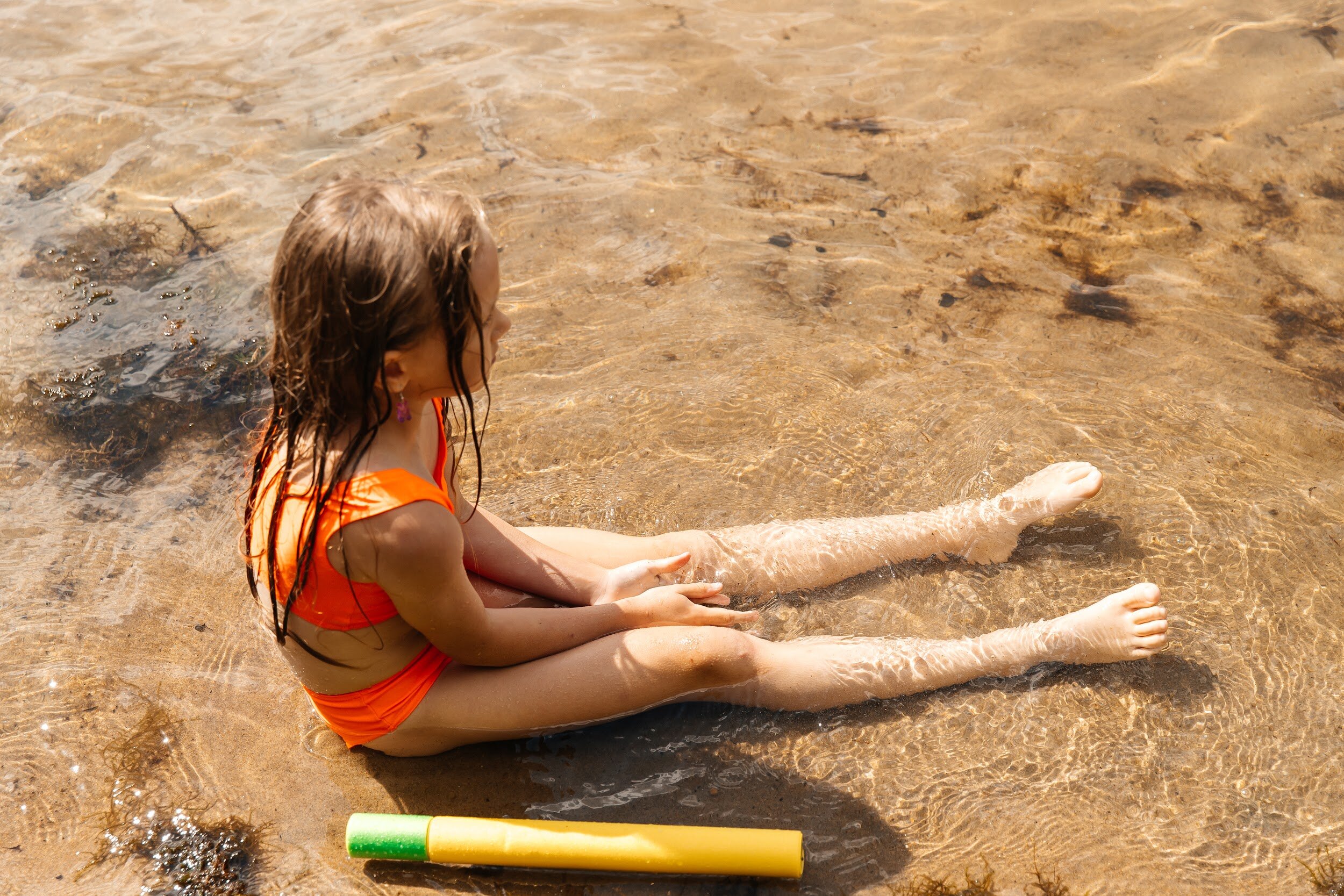 Фото Светлячок