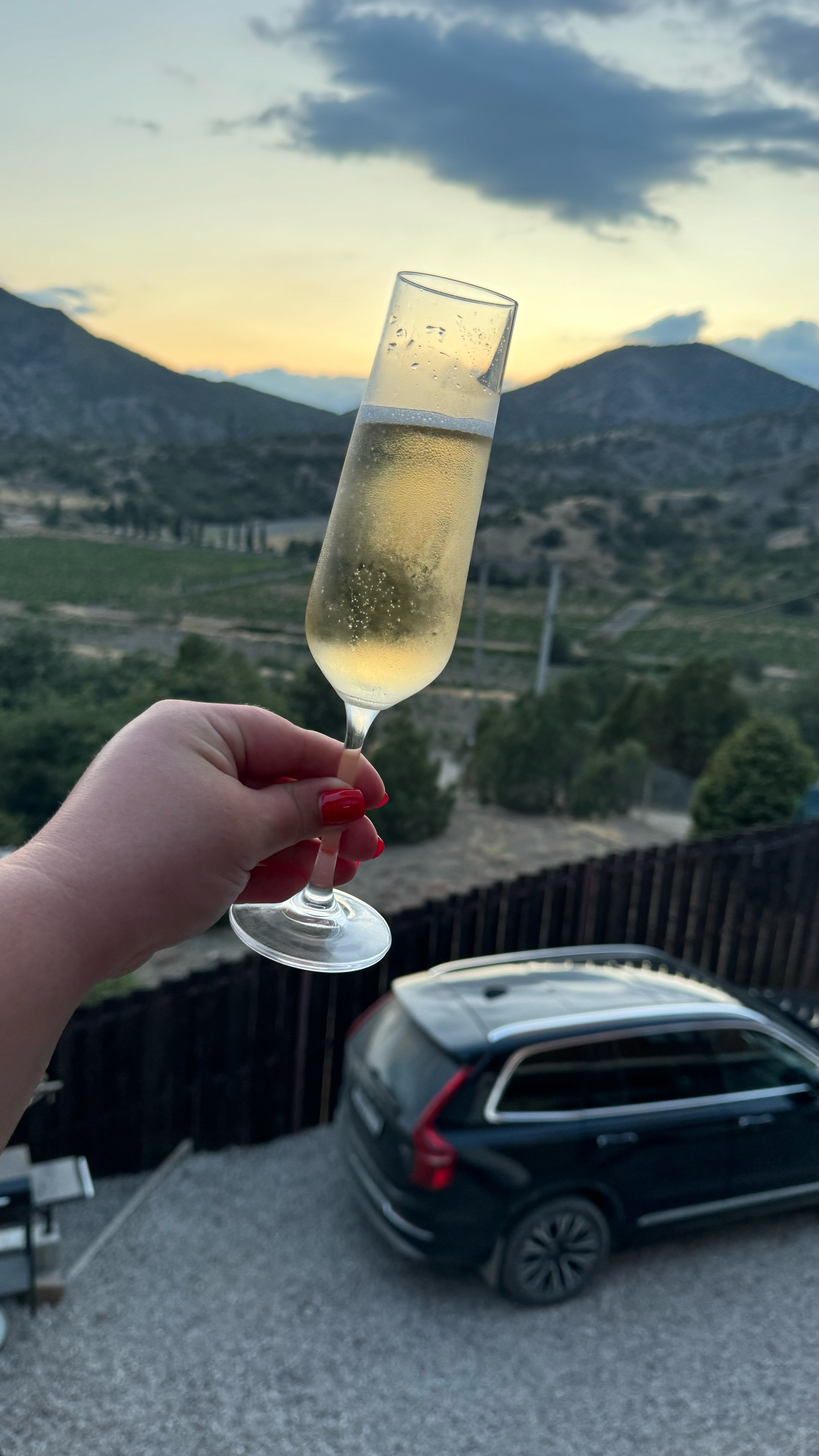 Фото Вилла Каталея