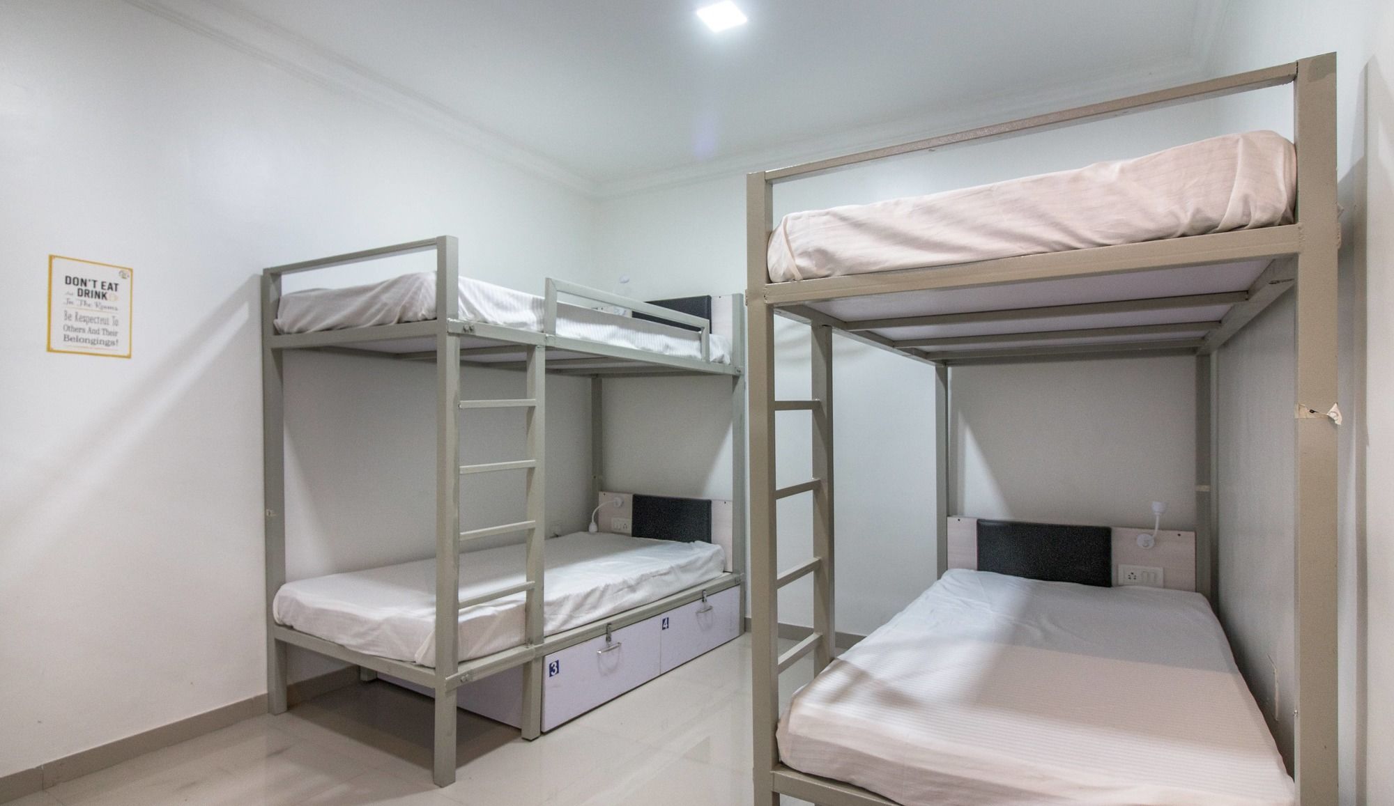 Фото Backpacker Panda Pune