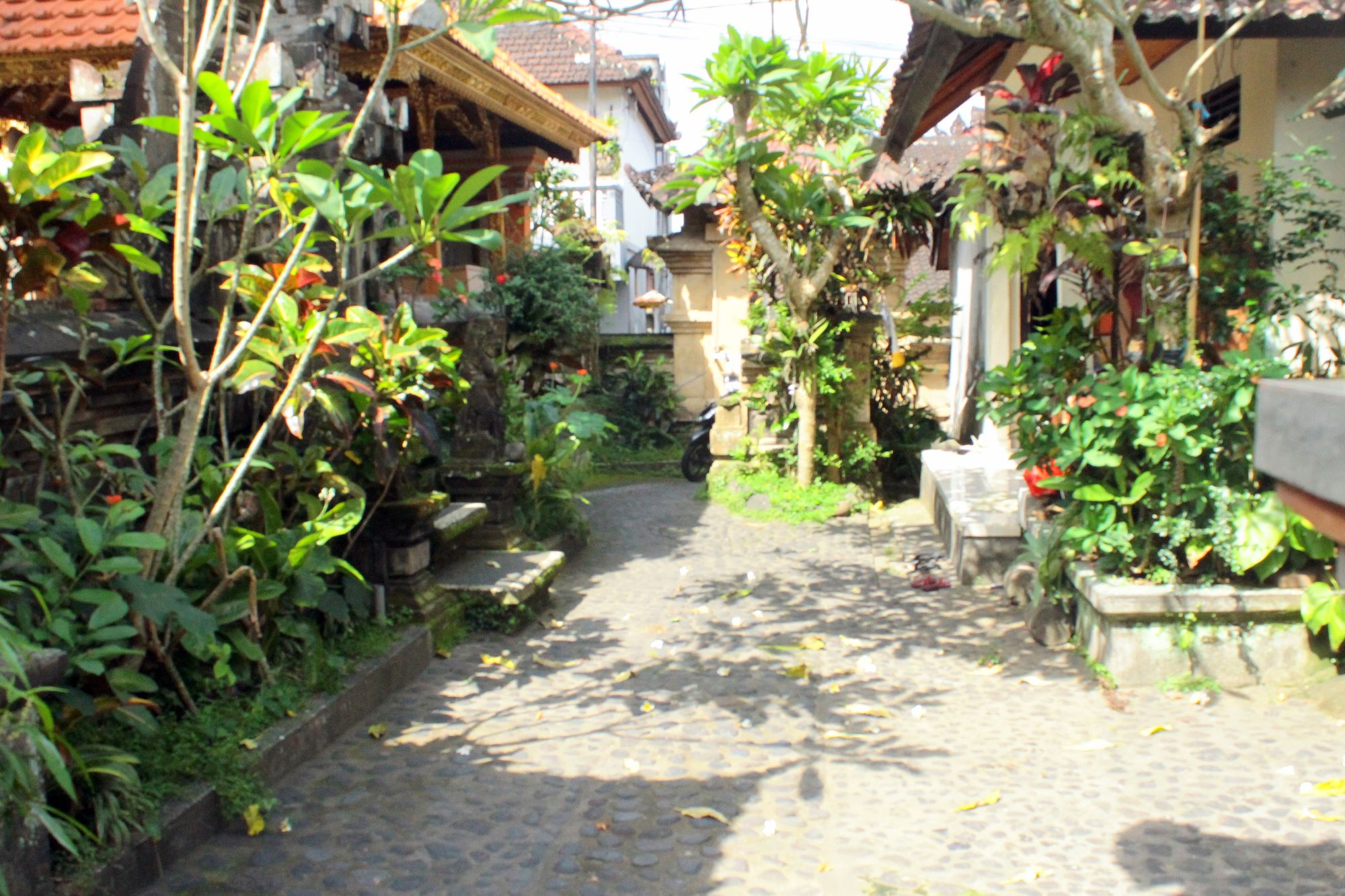 Фото Lecuk Inn Ubud