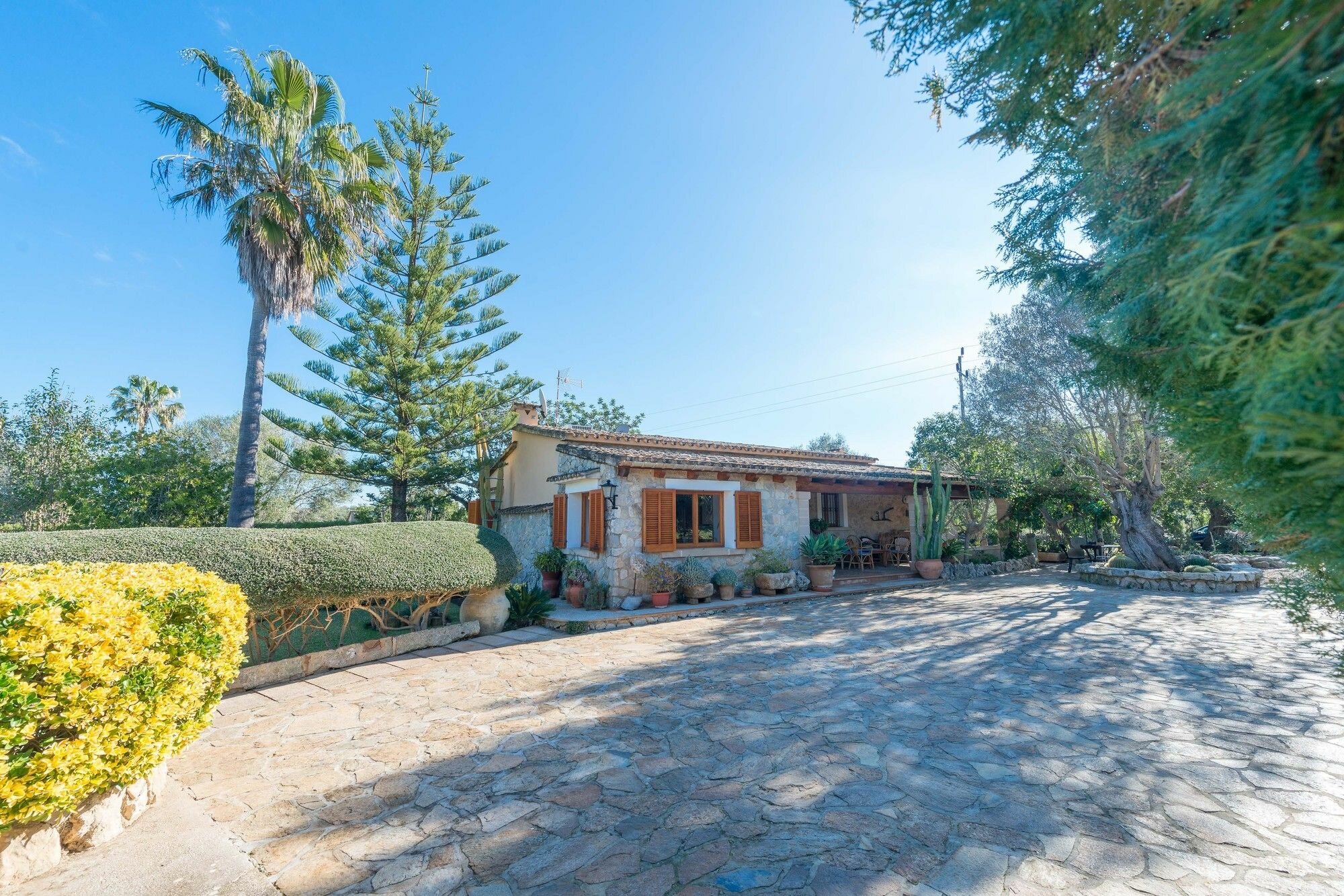 Фото Marina Can Borras