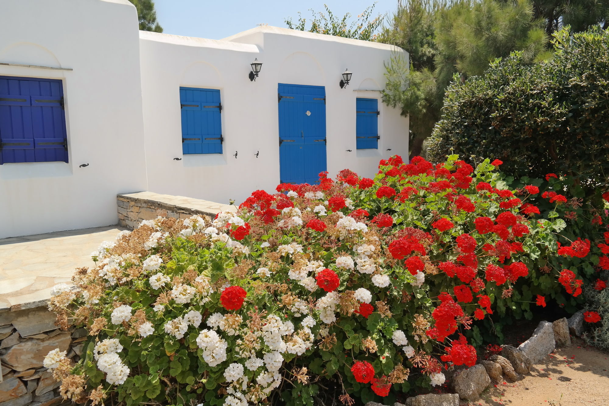 Фото Sun Rock Boutique Suites