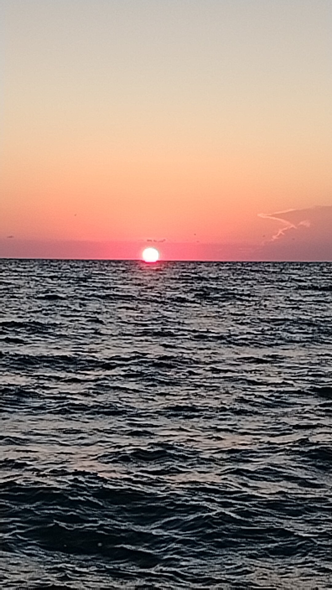 Фото Тихая Гавань