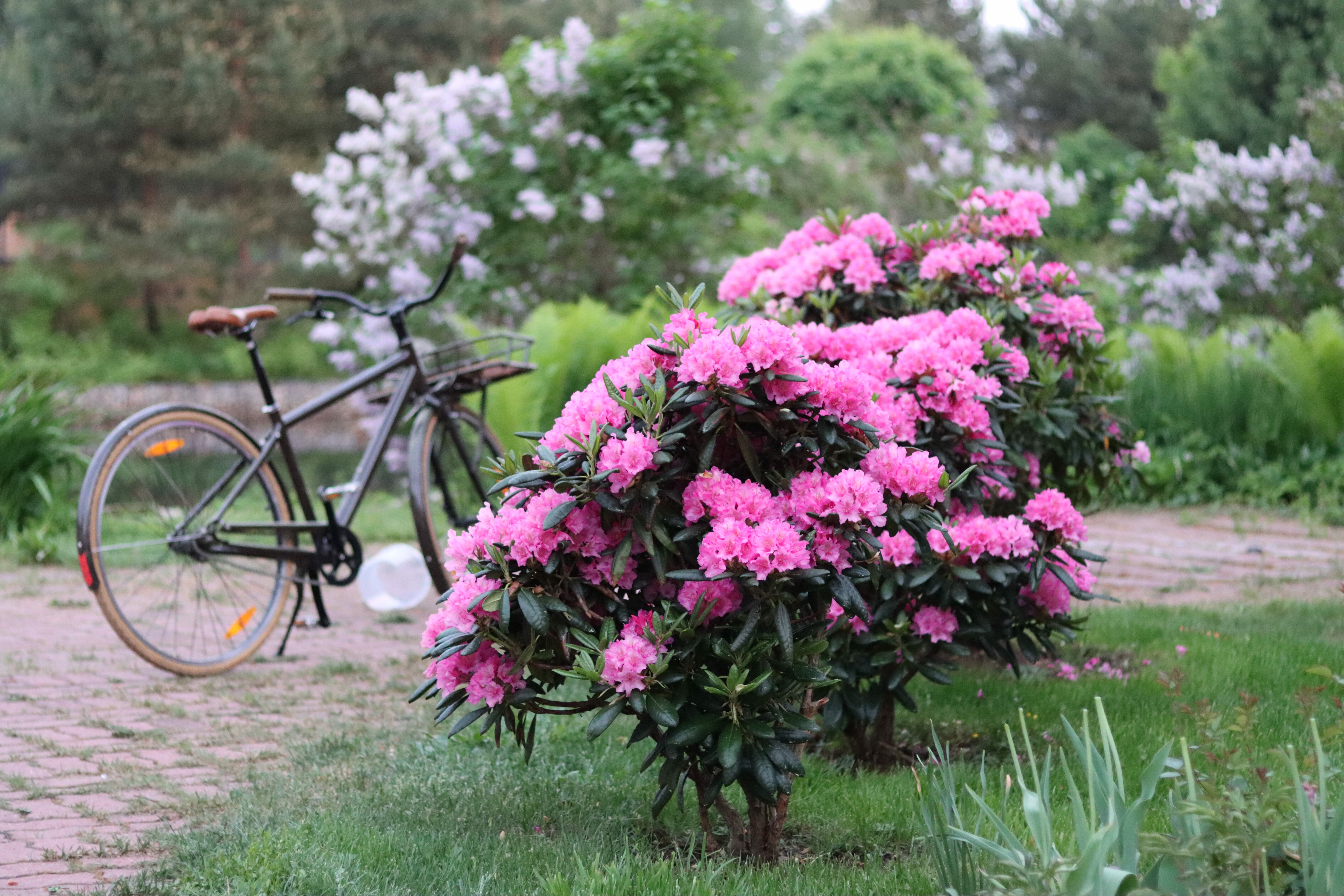Фото Усадьба Рыбак с семьей