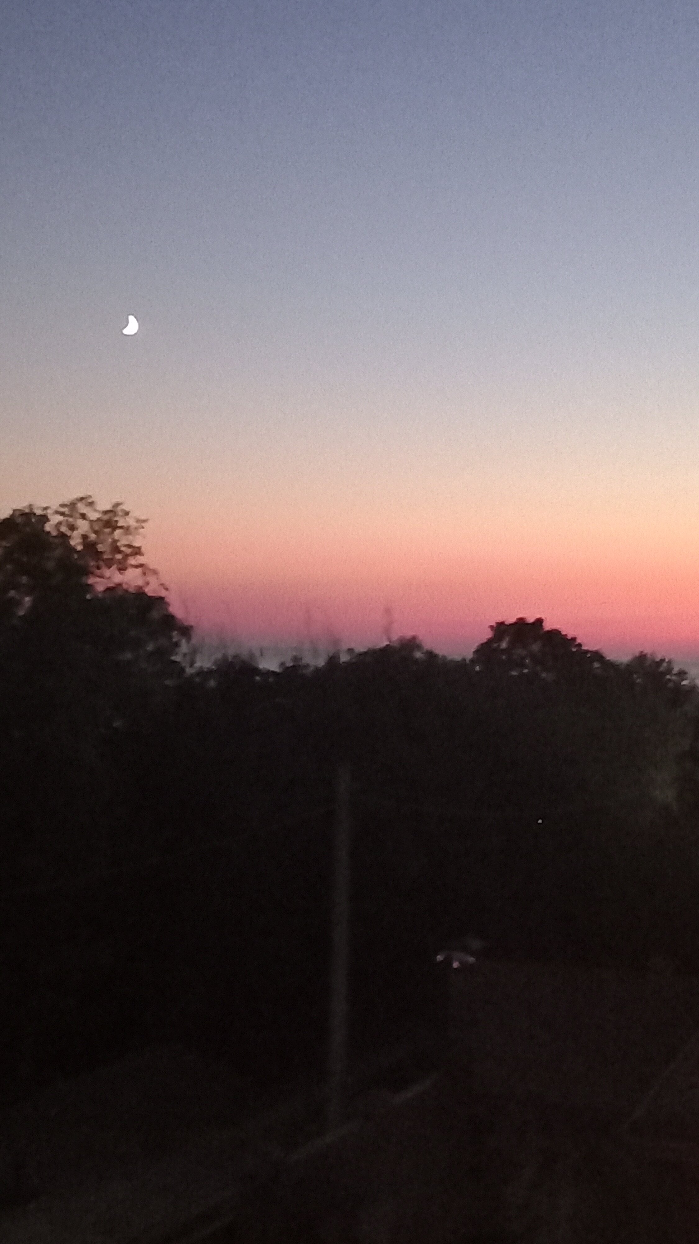 Фото Лайнер