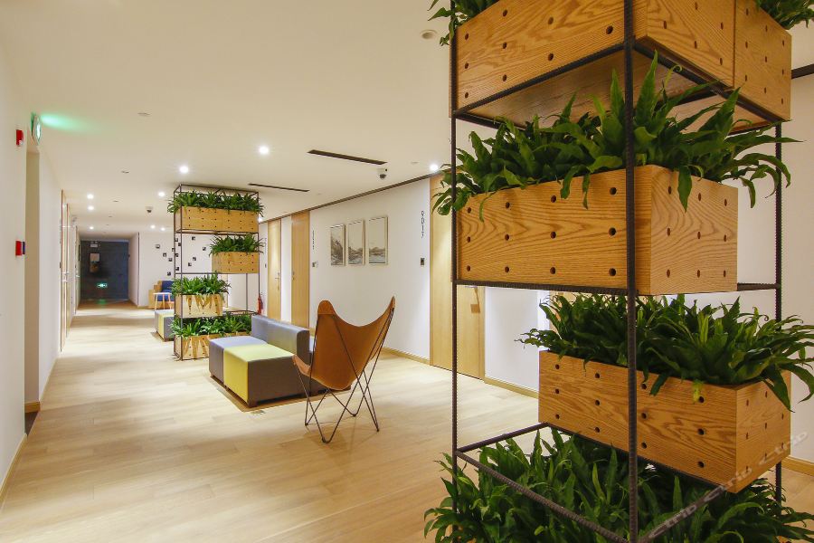 Фото 207977250587