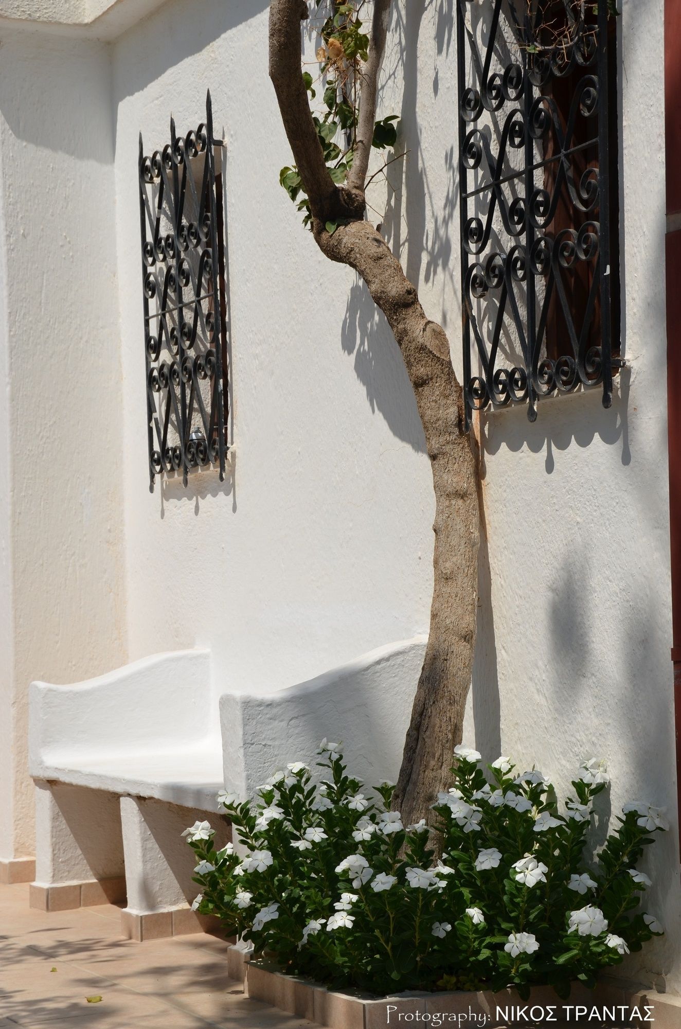 Фото Poppy Villas