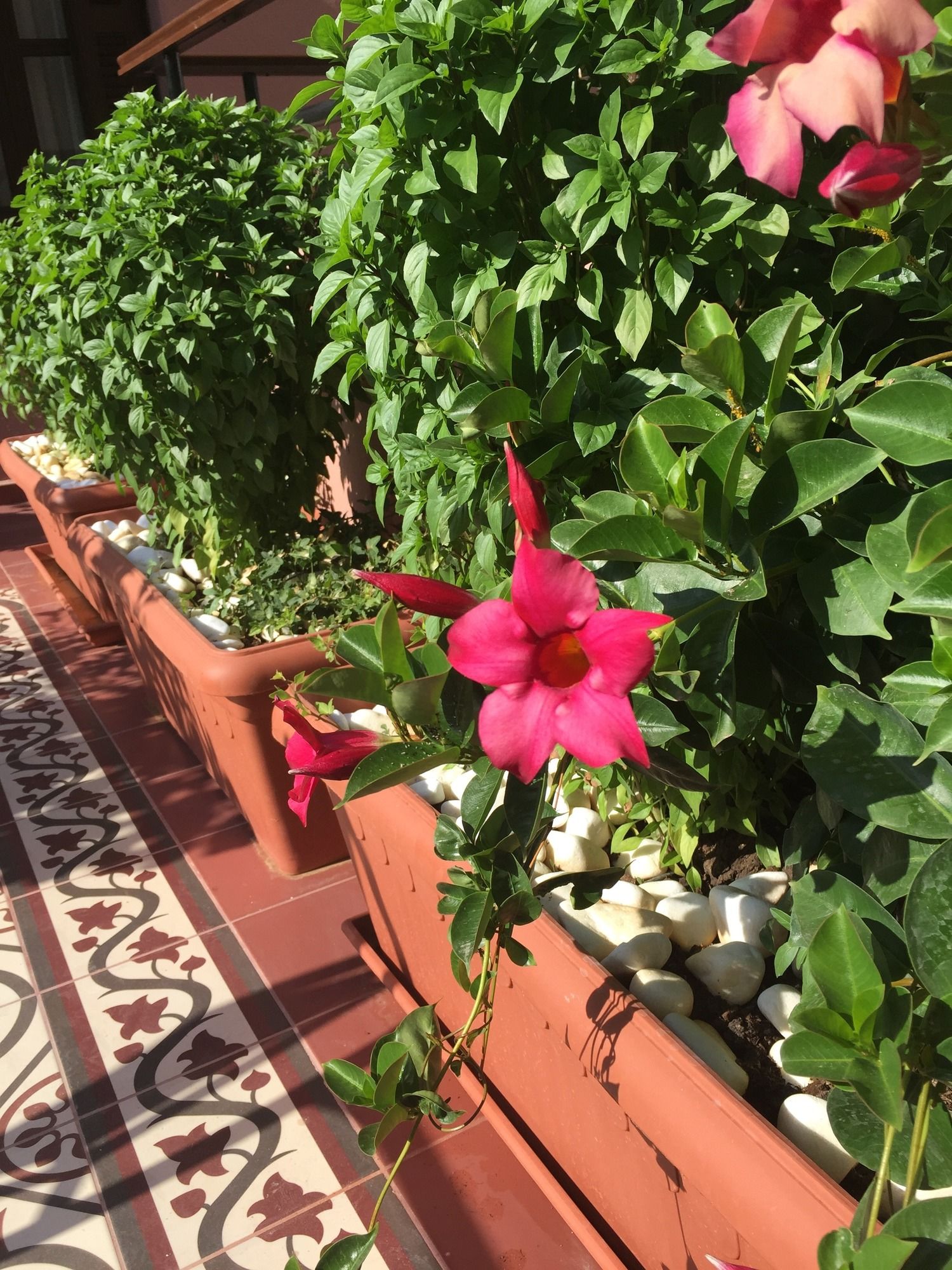 Фото Sperveri Boutique Hotel