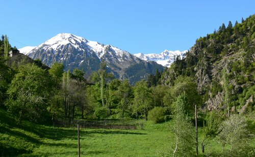 Гостиница Kaçkar Pansiyon в Юсуфели