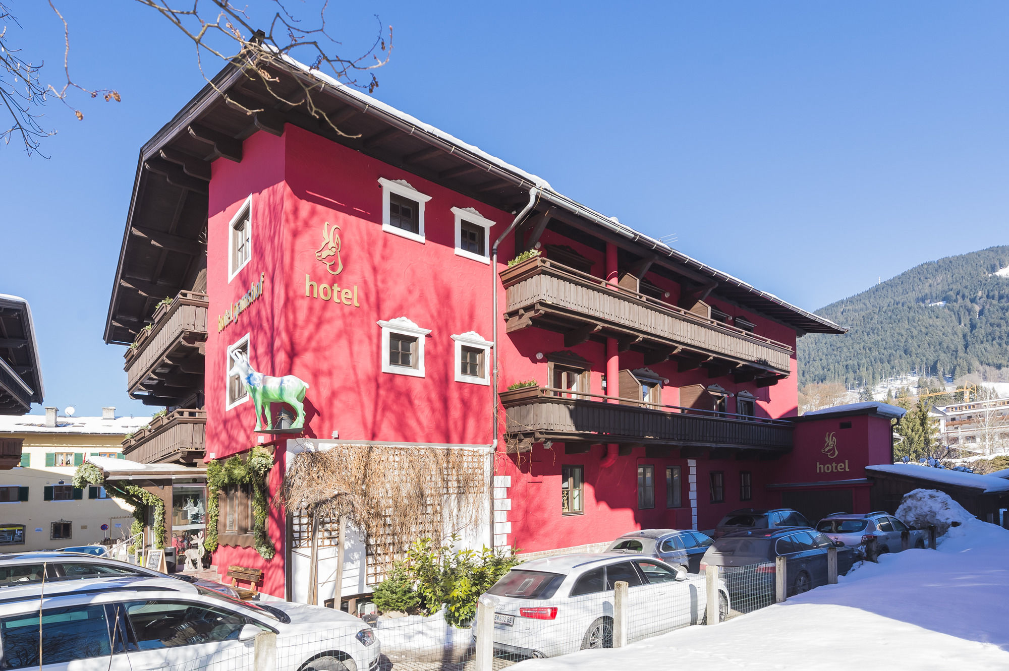 Фото Hotel Gamshof