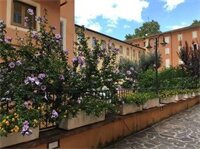 Фото Basilica Hotel