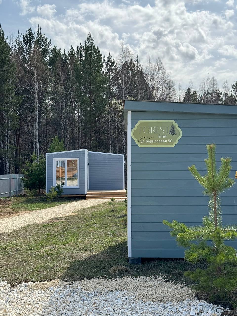 Фото Forest time