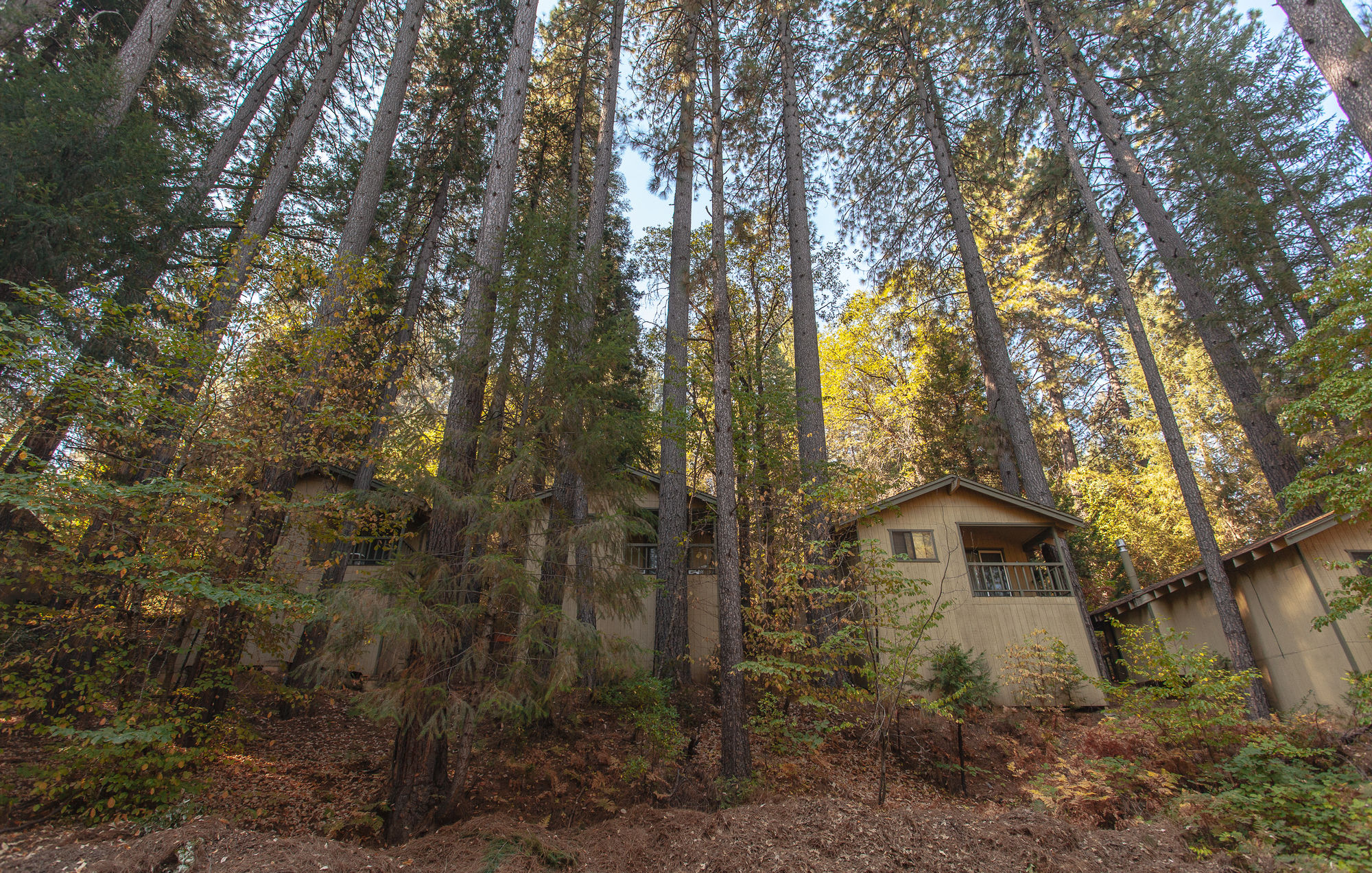 Фото Northern Queen Inn