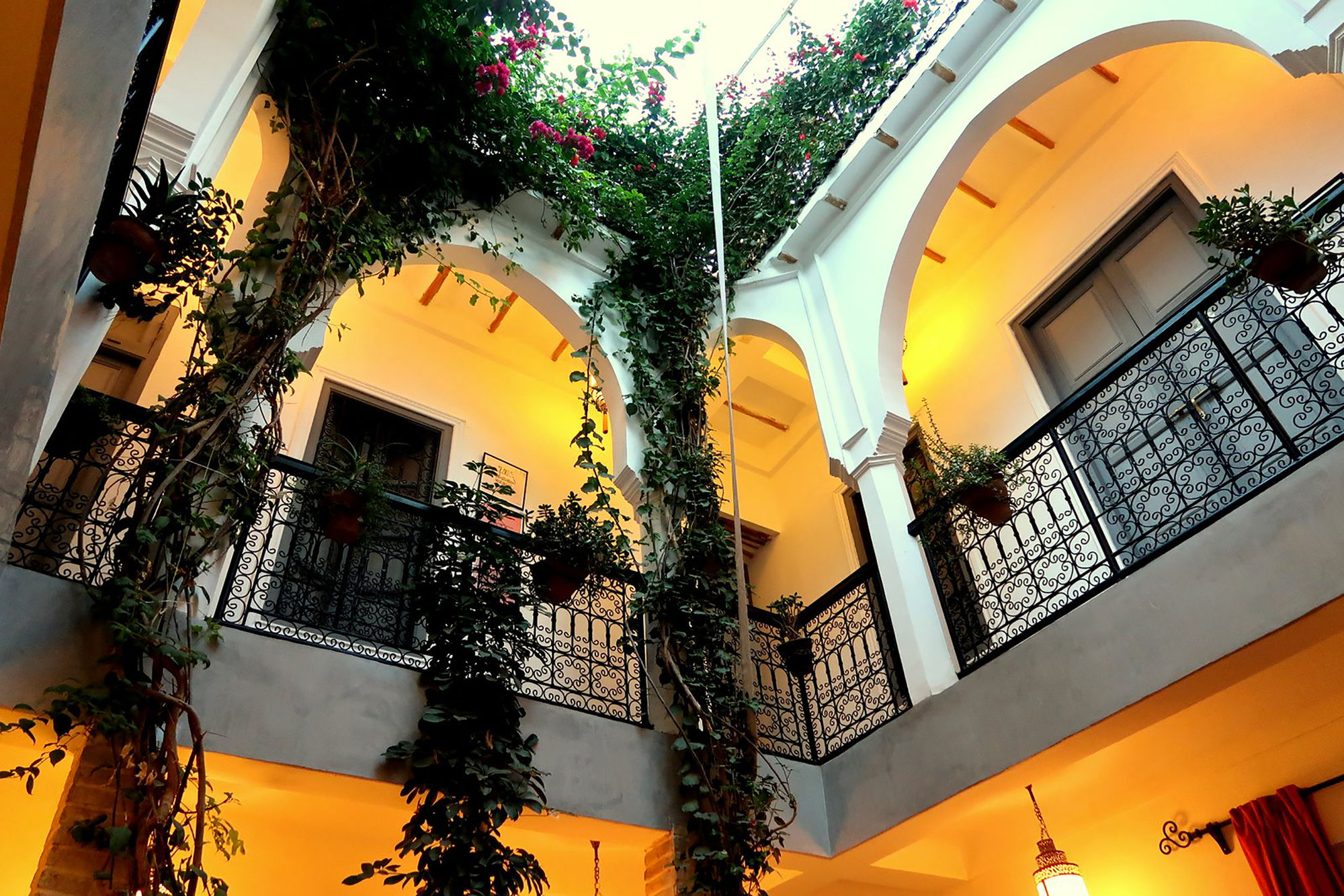 Фото Riad Les Jardins de Mouassine