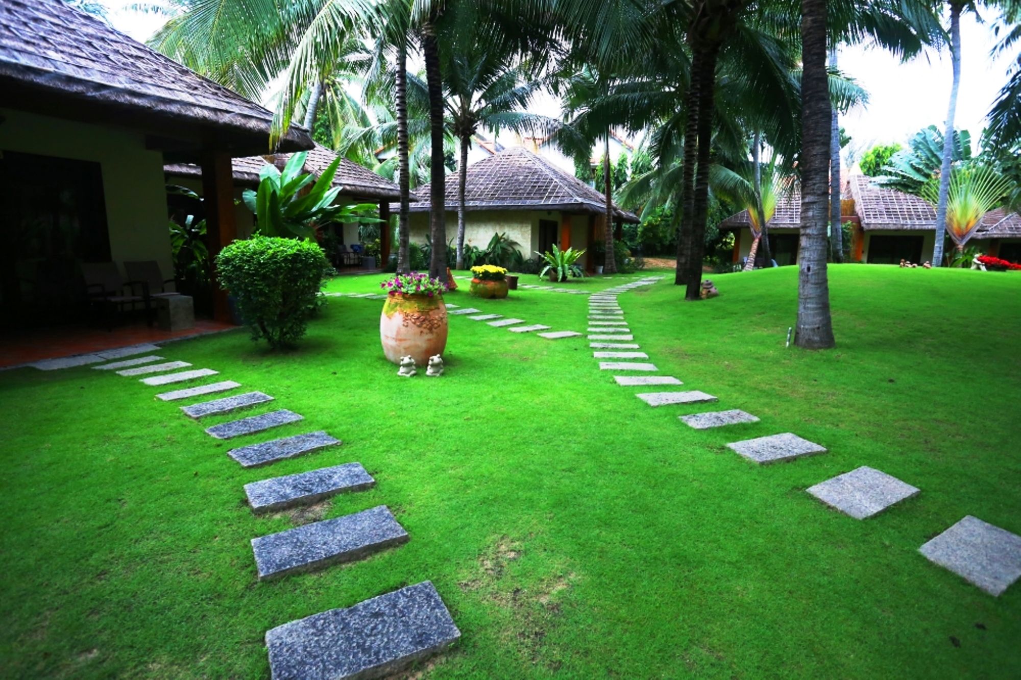 Фото Terracotta Resort & SPA