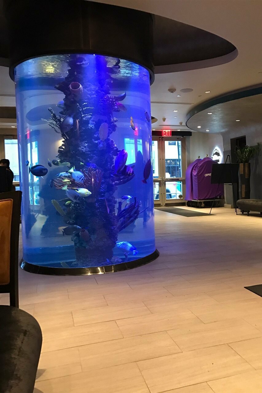 Фото Dream Midtown