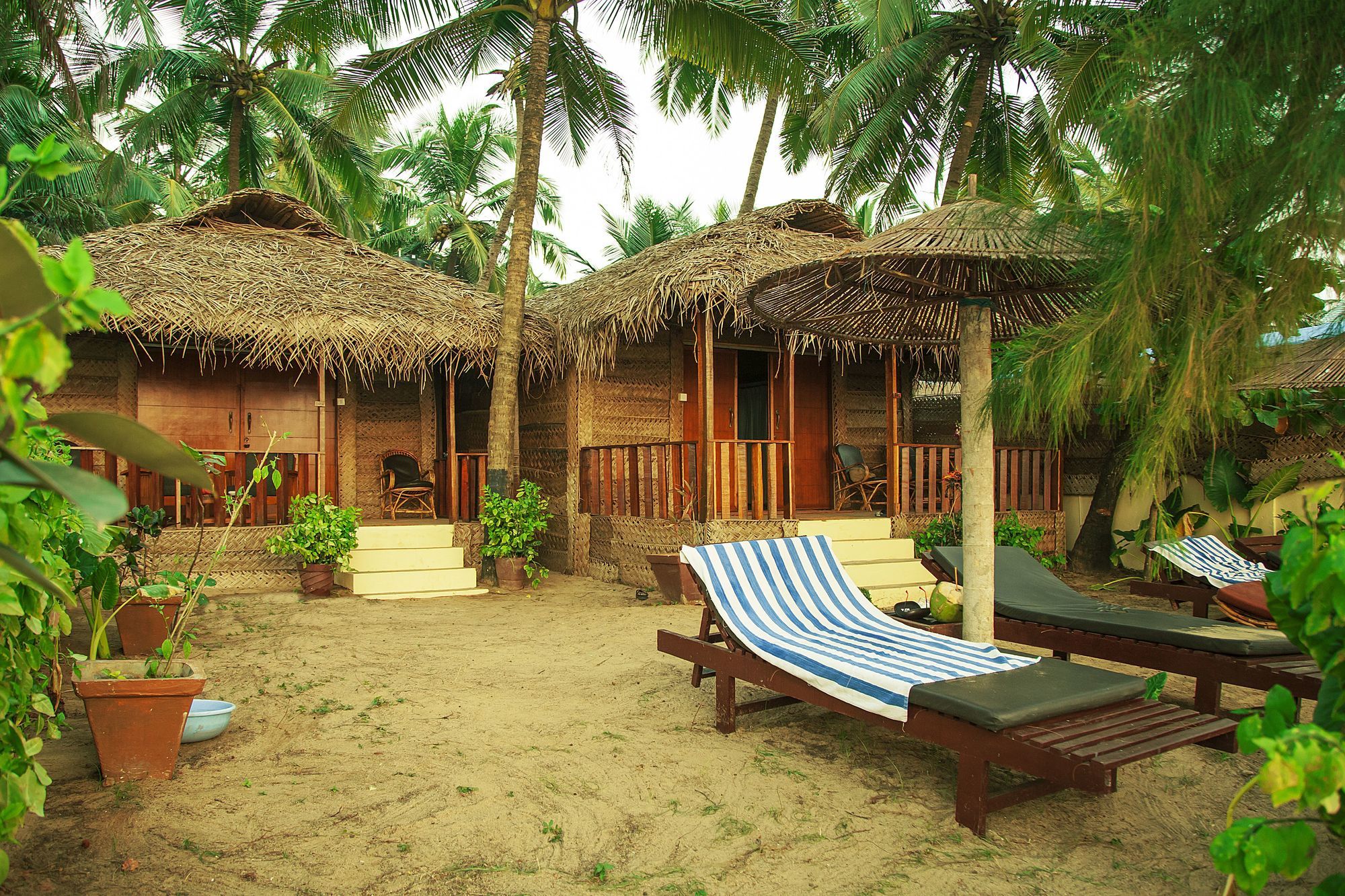 Фото Mariposa Beach Grove