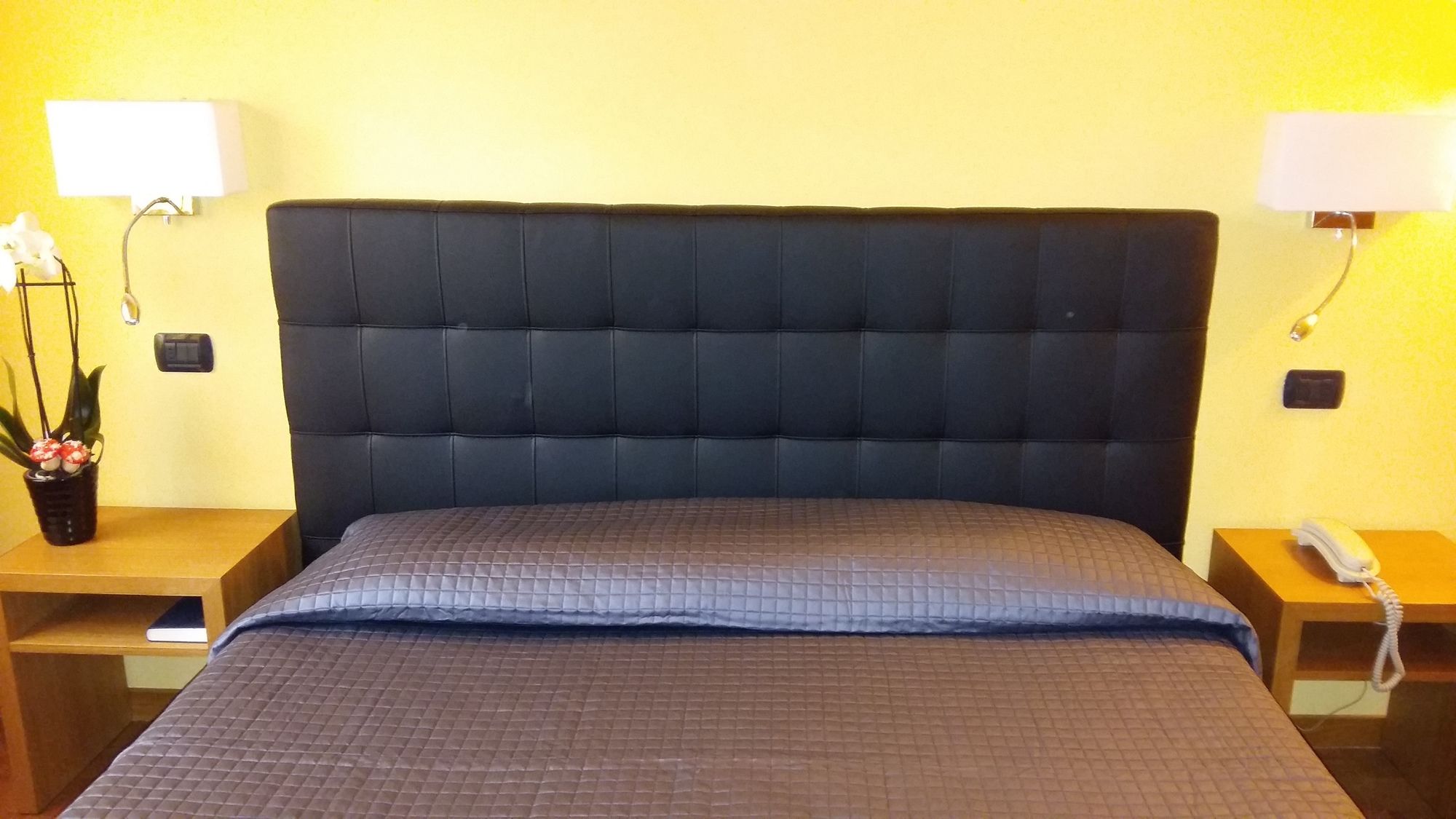 Фото Hotel Clarici