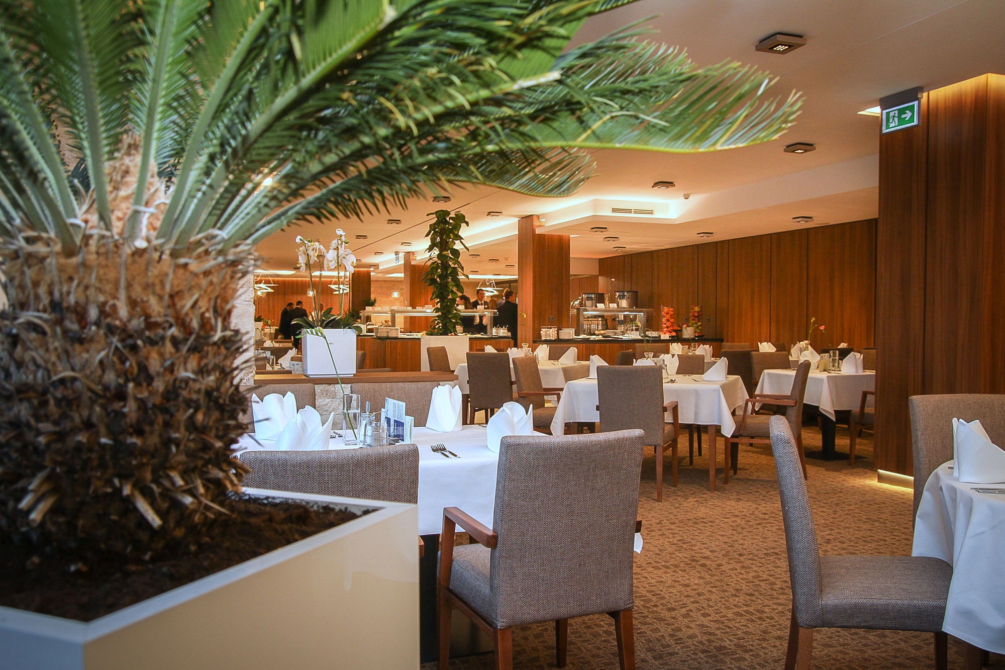 Фото Esplanade Health SPA Hotel