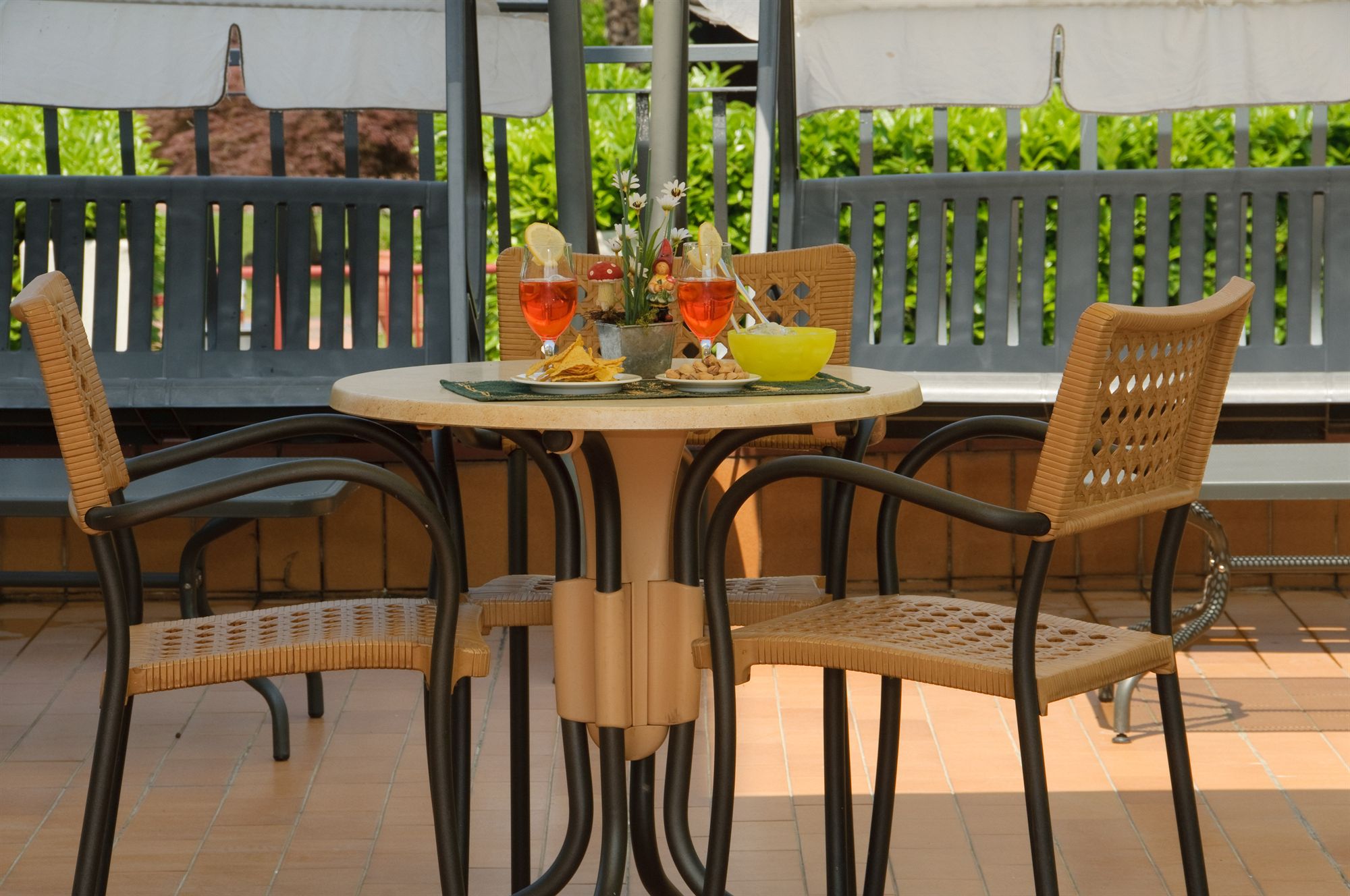 Фото Hotel Villa Rosa