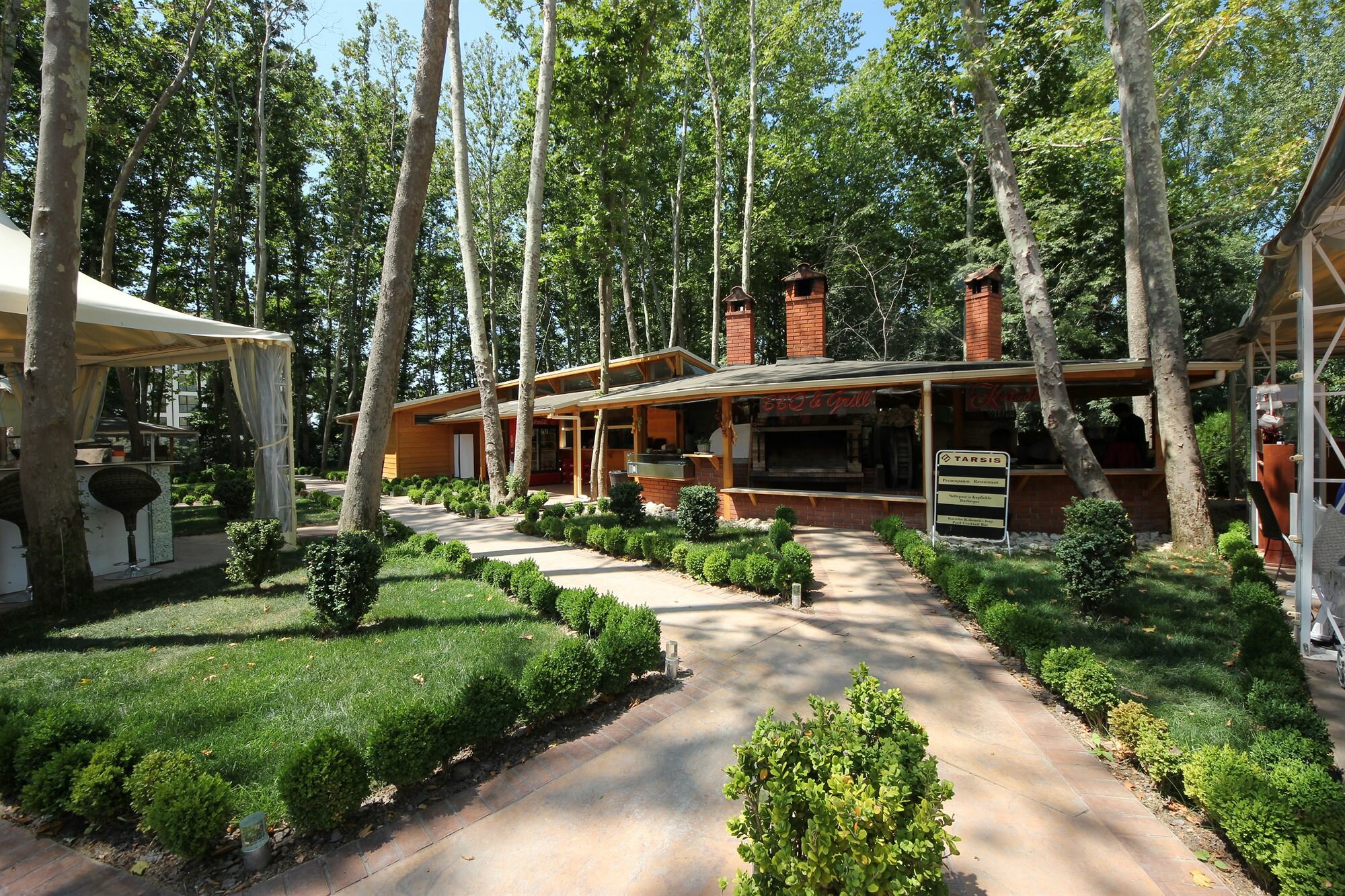 Фото Тарсис