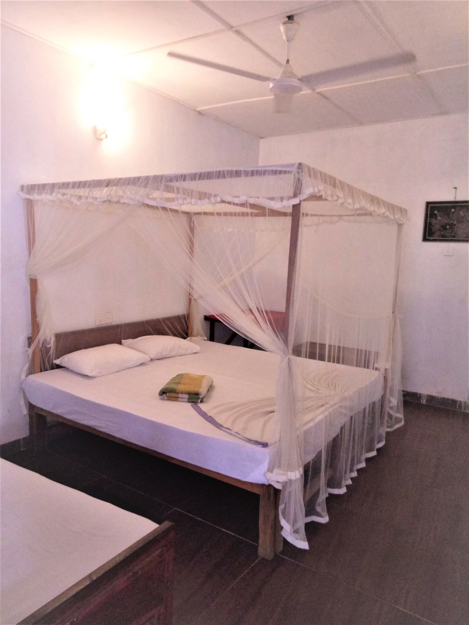 Фото Hansa Surf Hotel