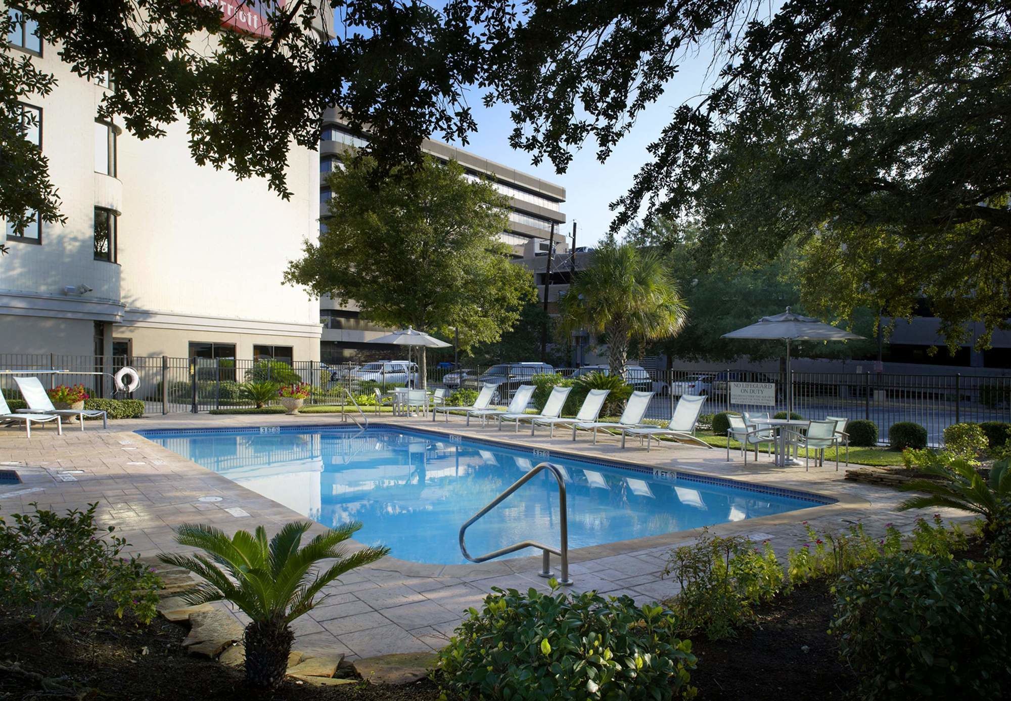 Фото SpringHill Suites Houston Medical Center/NRG Park