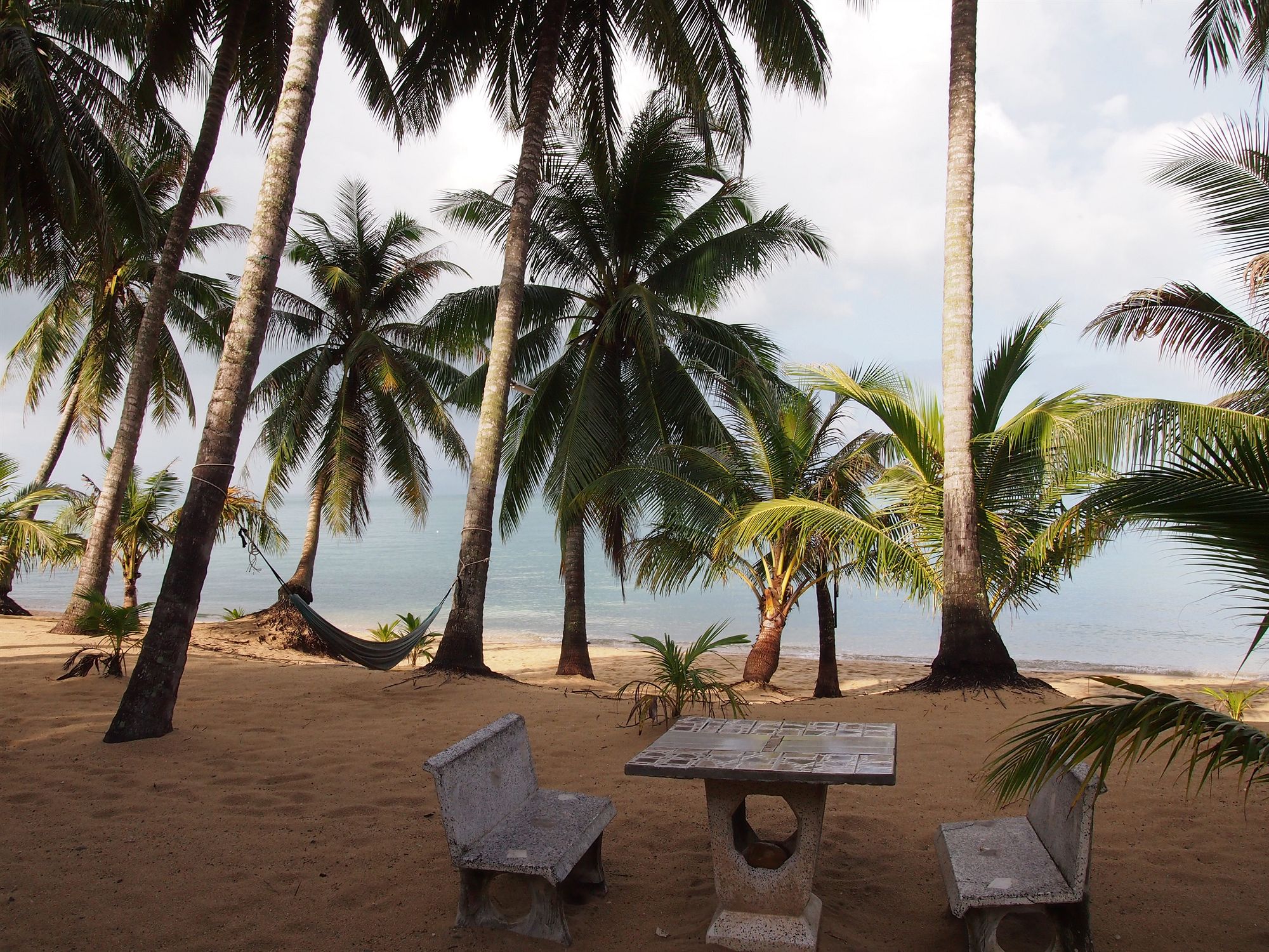 Фото Palm Point Village